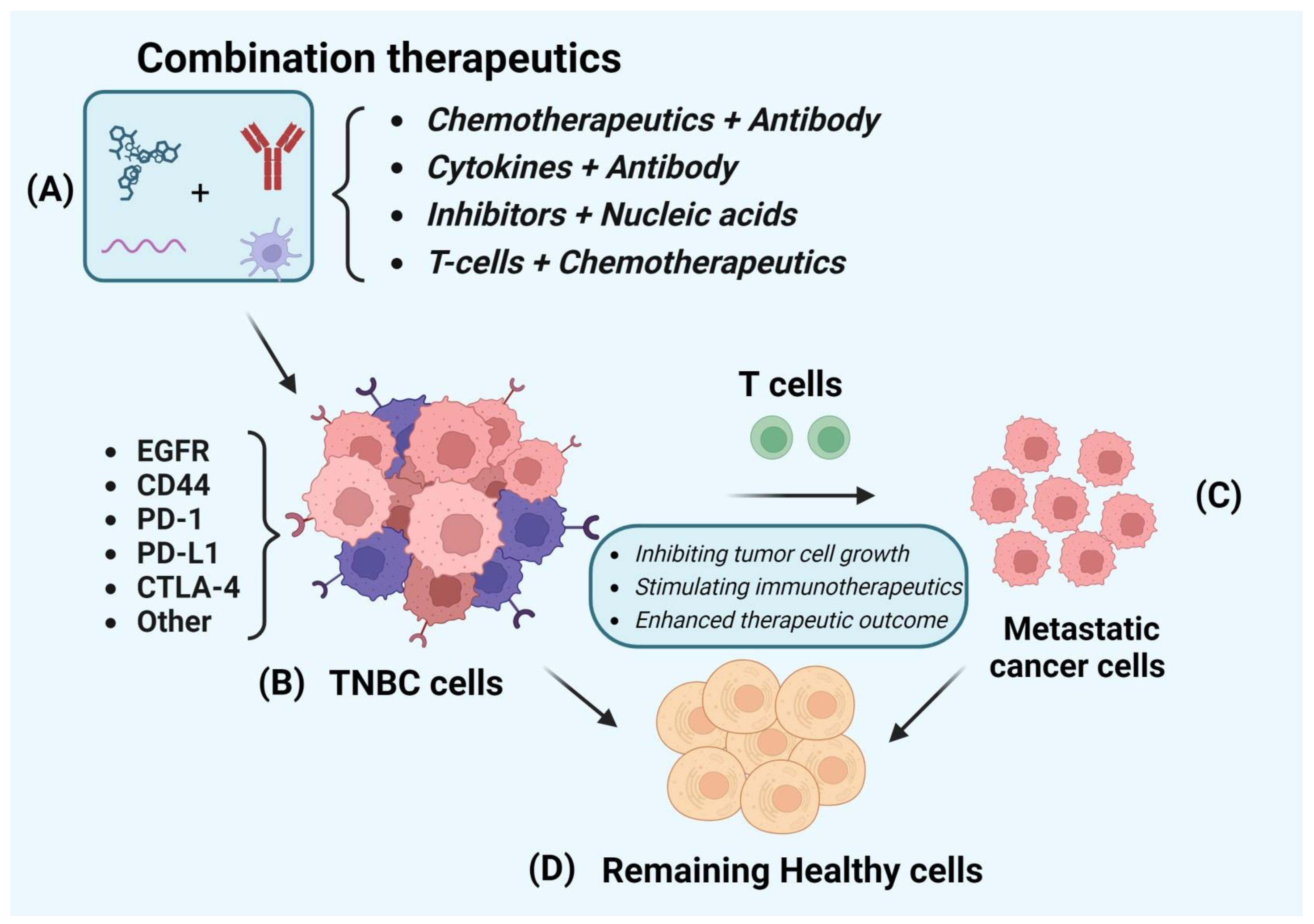 Cancers 16 02012 g001