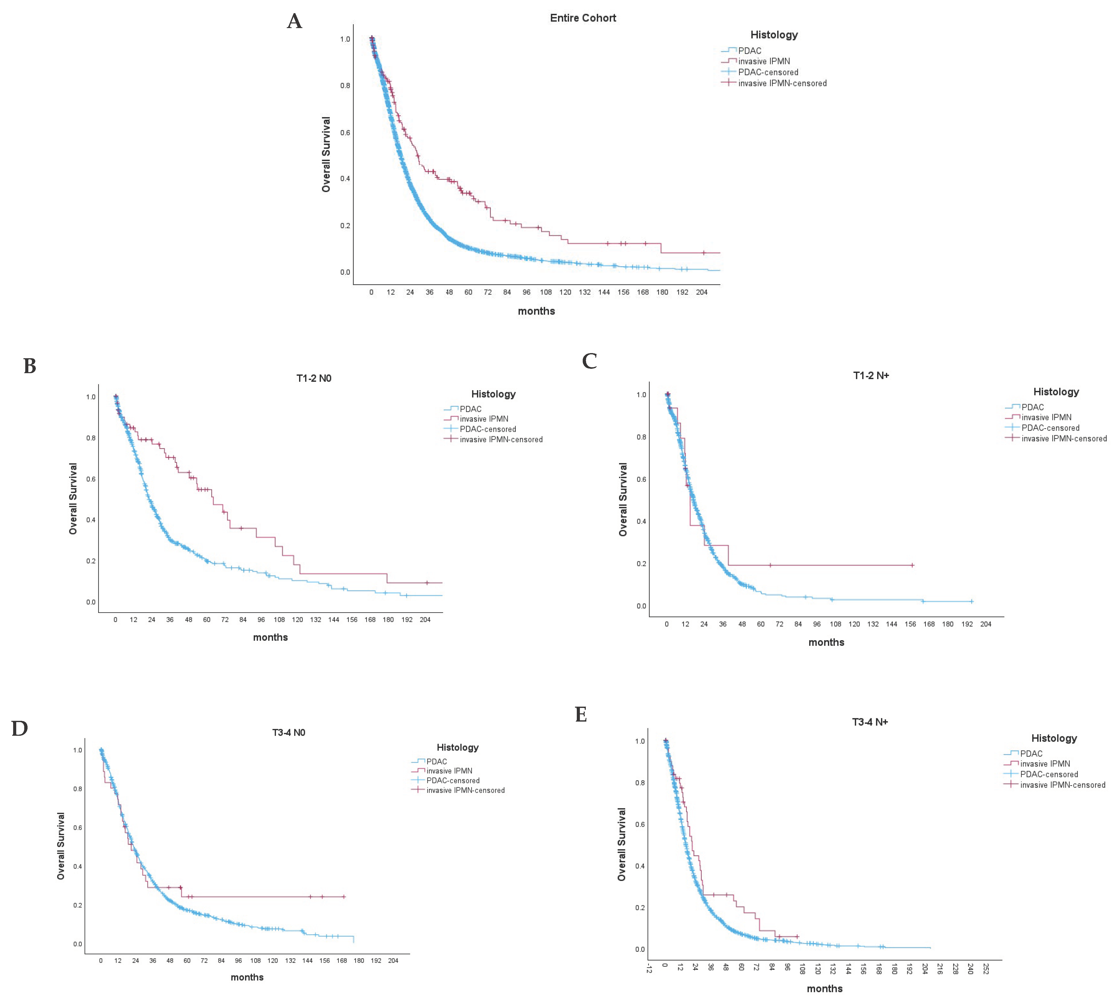 Cancers 16 02016 g002