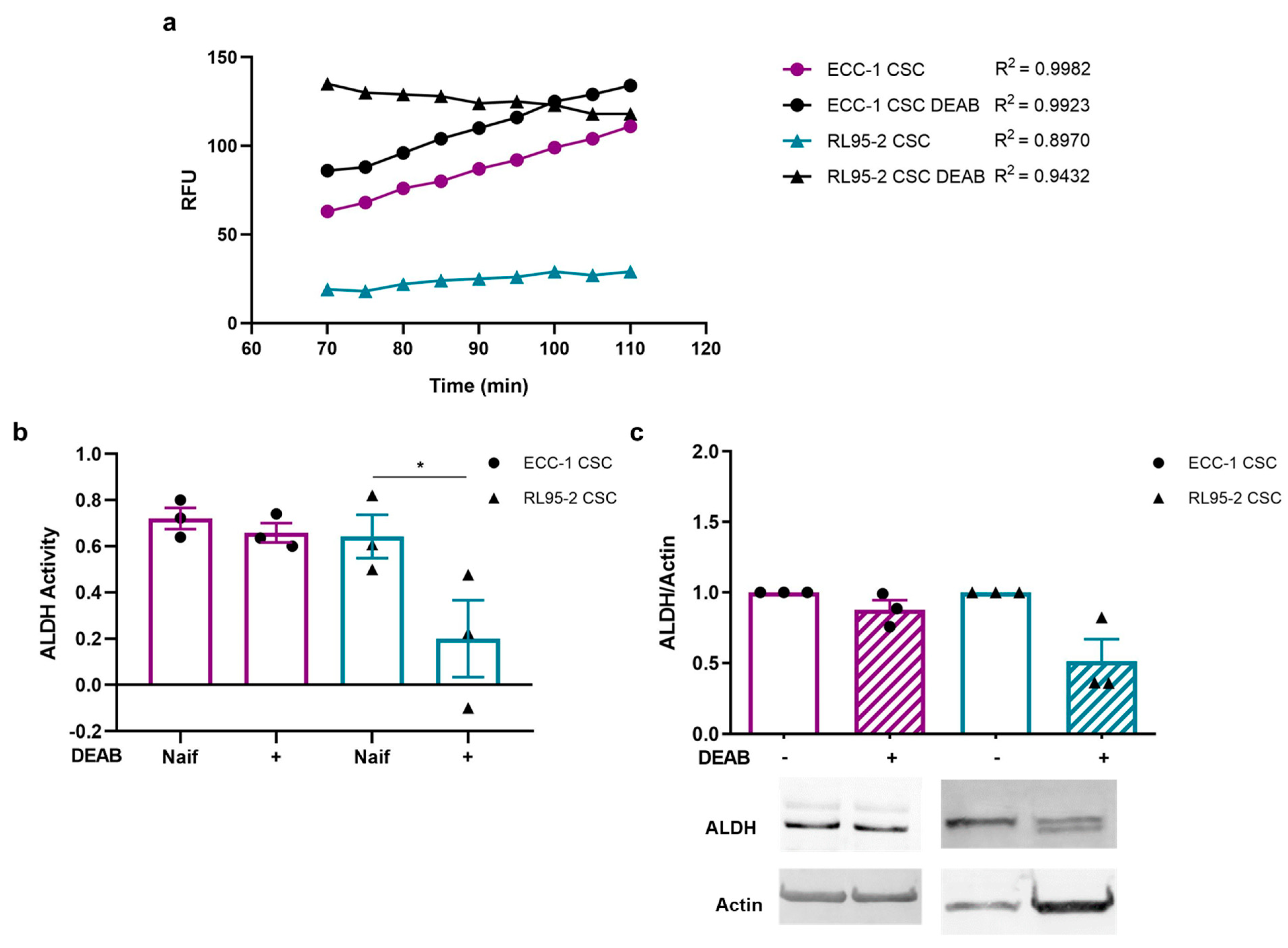 Cancers 16 02031 g001