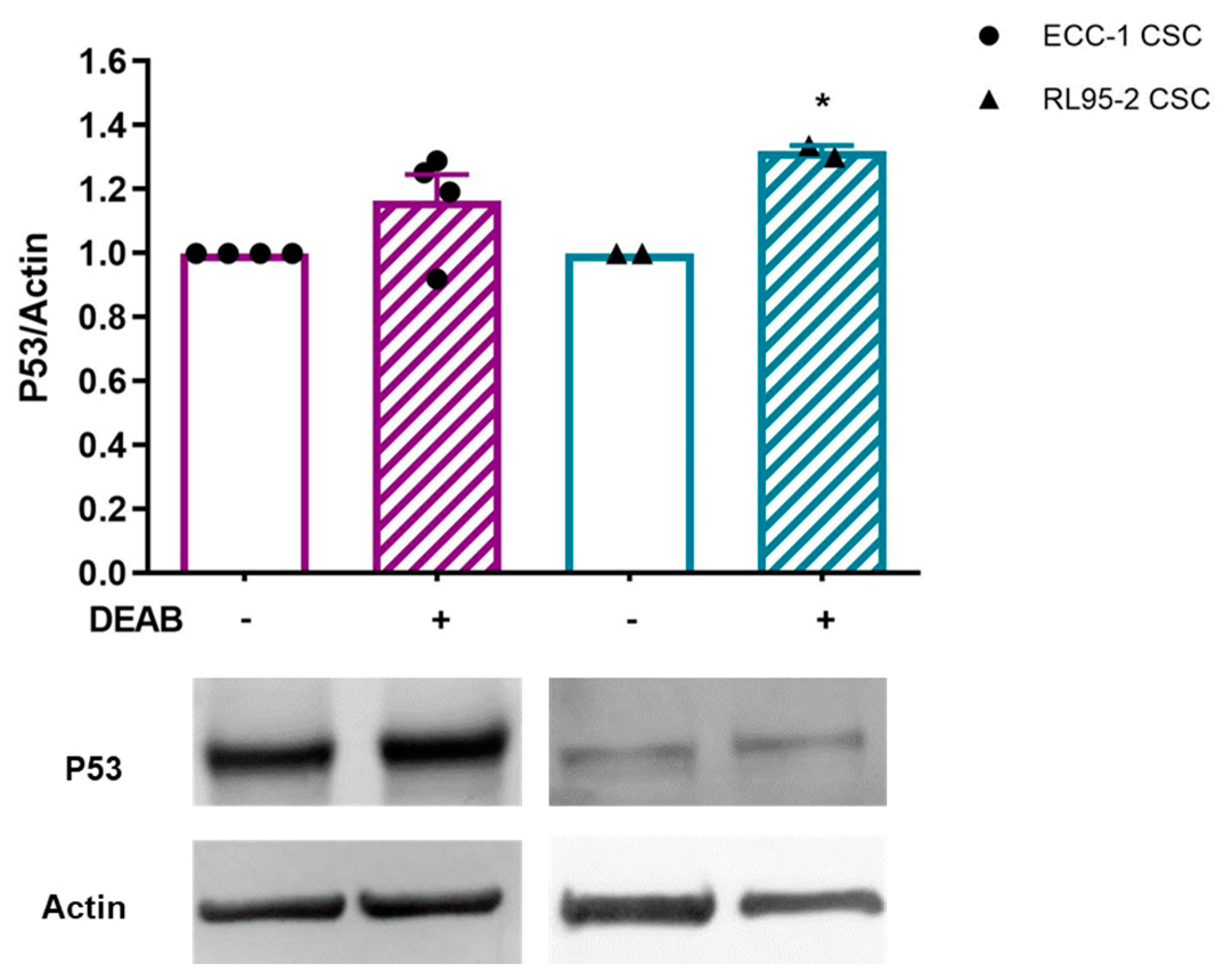 Cancers 16 02031 g004