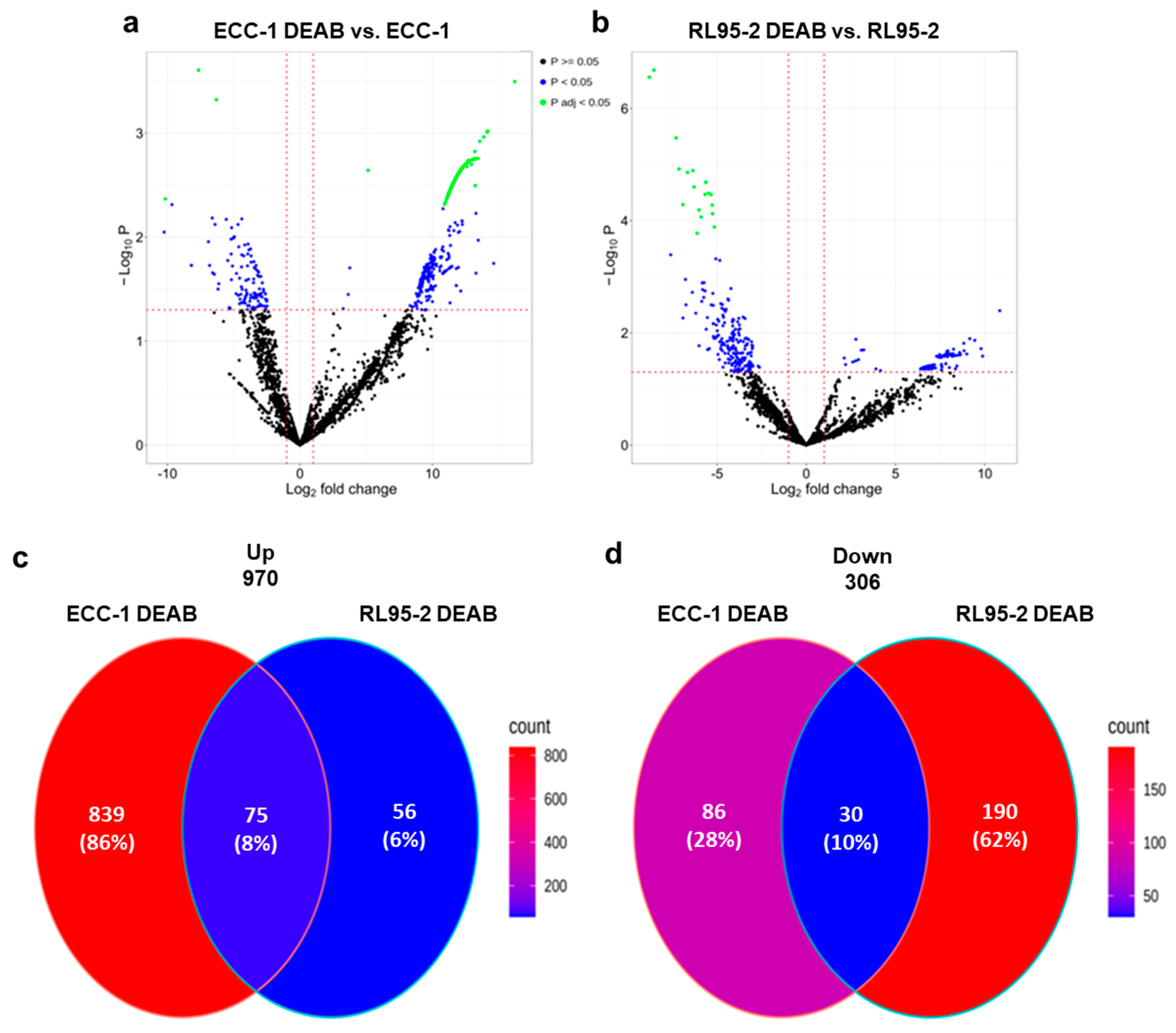 Cancers 16 02031 g005