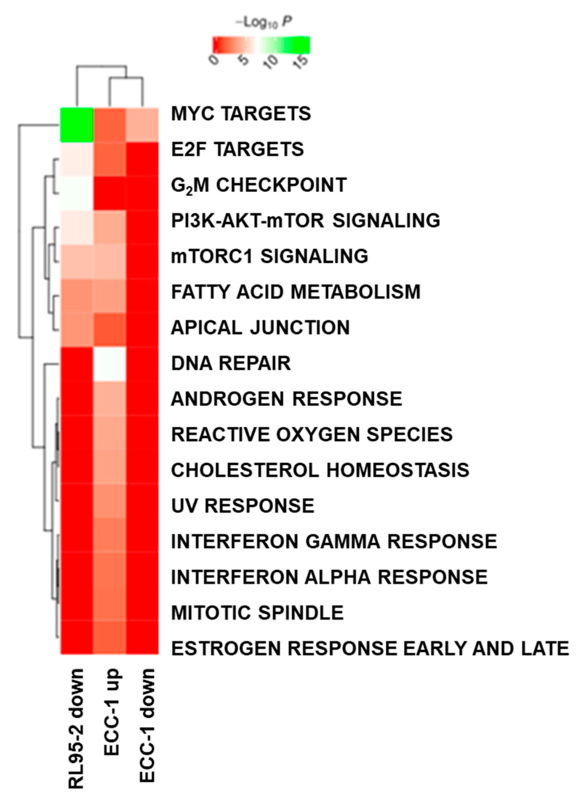 Cancers 16 02031 g006
