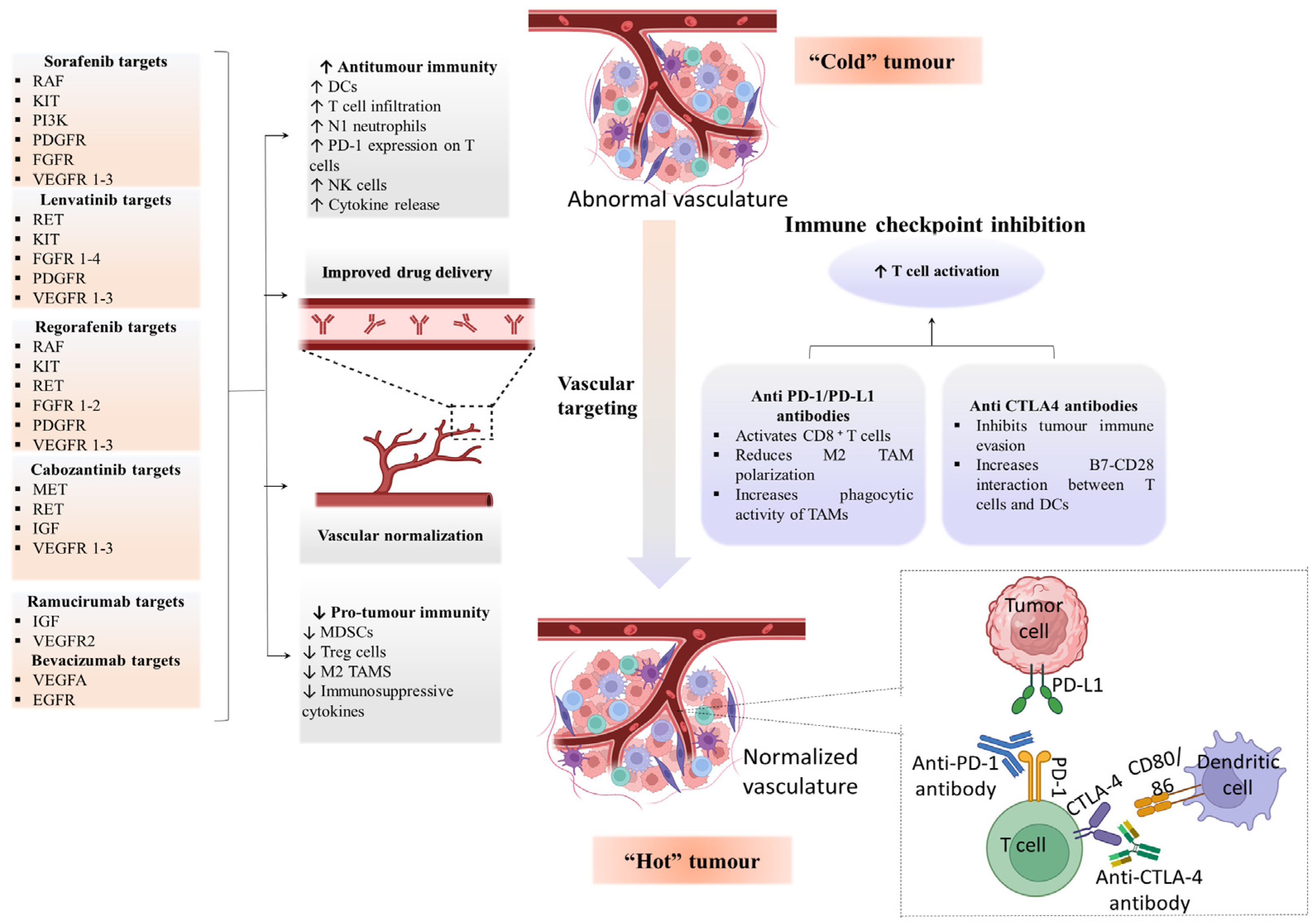 Cancers 16 02034 g004