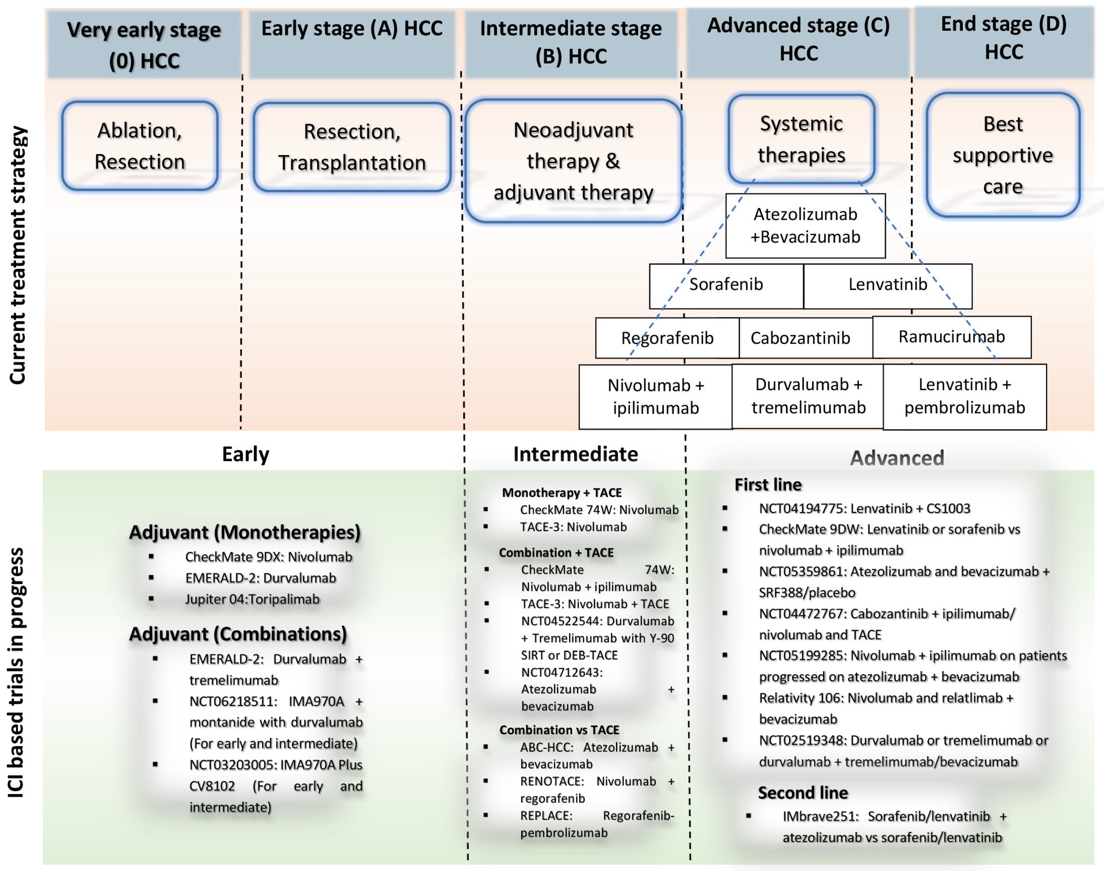 Cancers 16 02034 g006