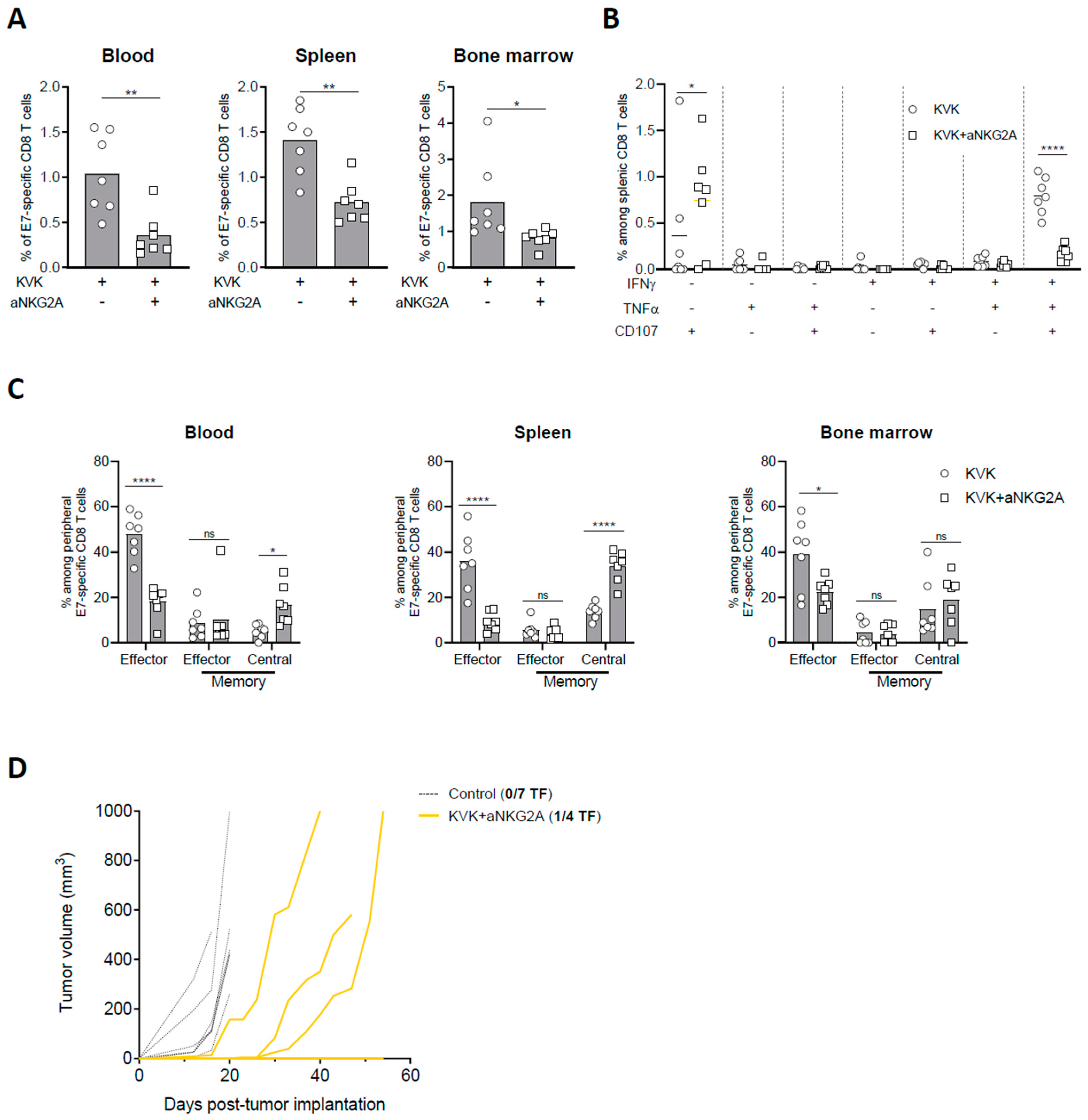Cancers 16 02036 g004