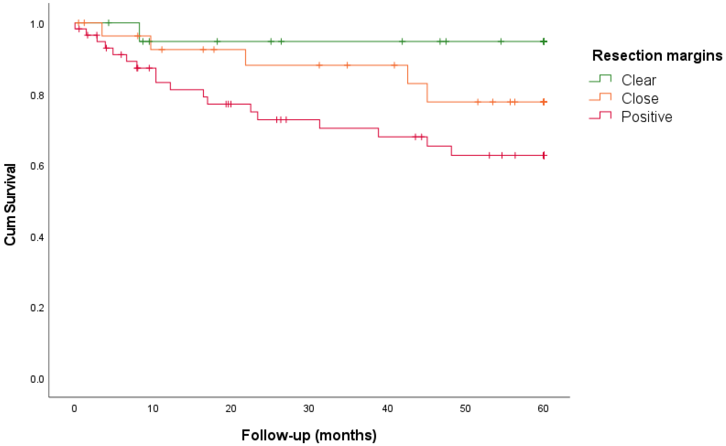 Cancers 16 02038 g001