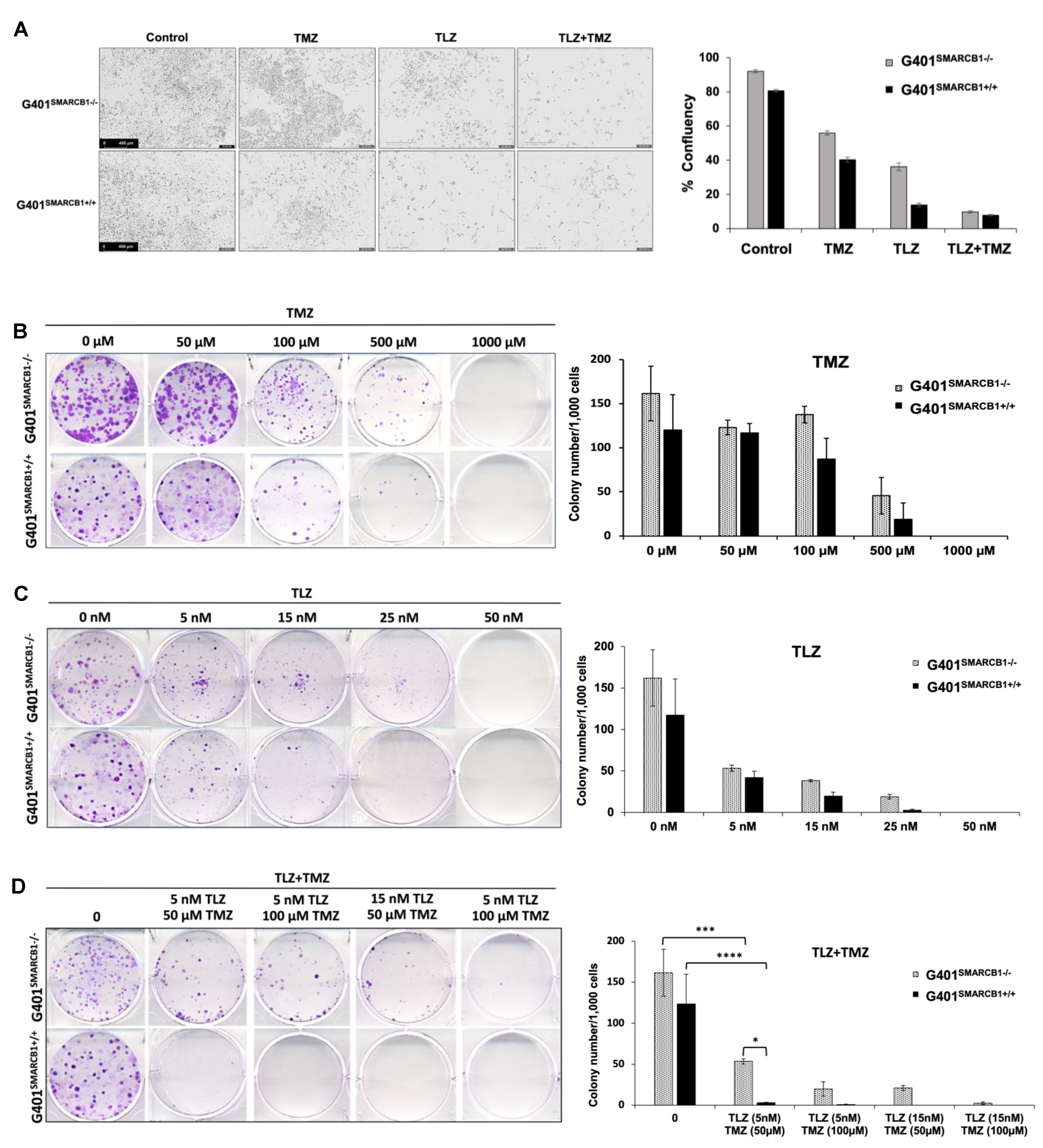 Cancers 16 02041 g002
