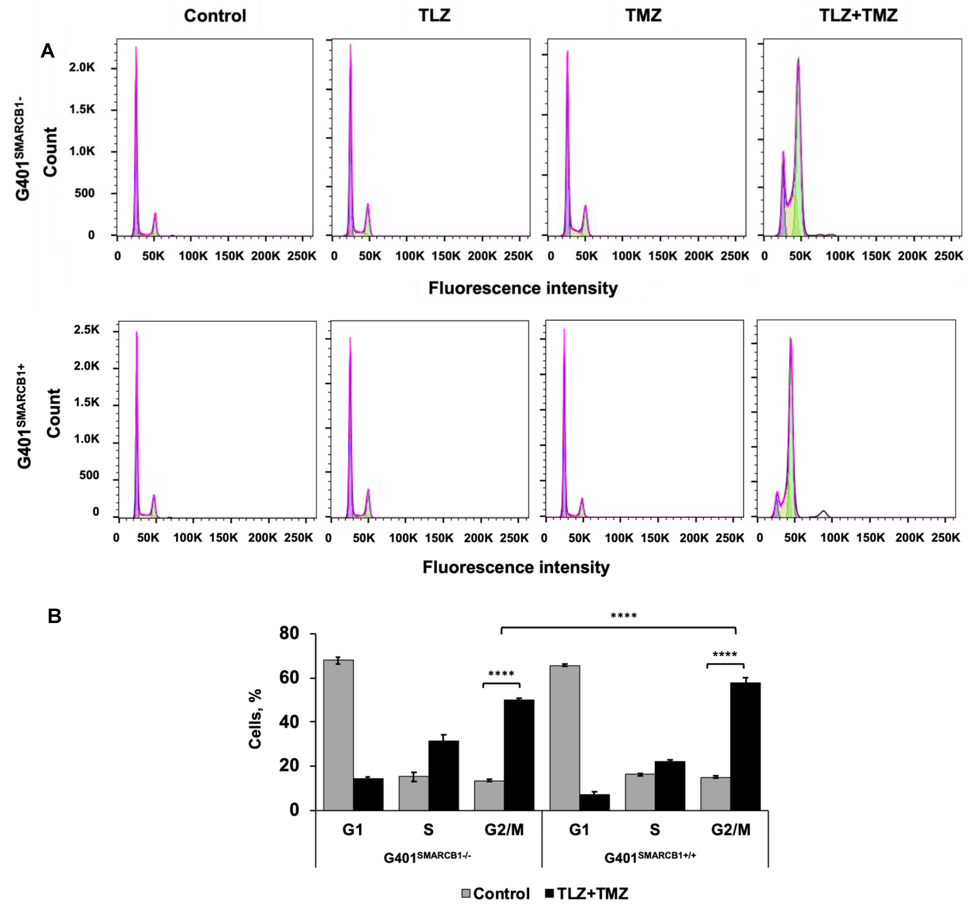 Cancers 16 02041 g003