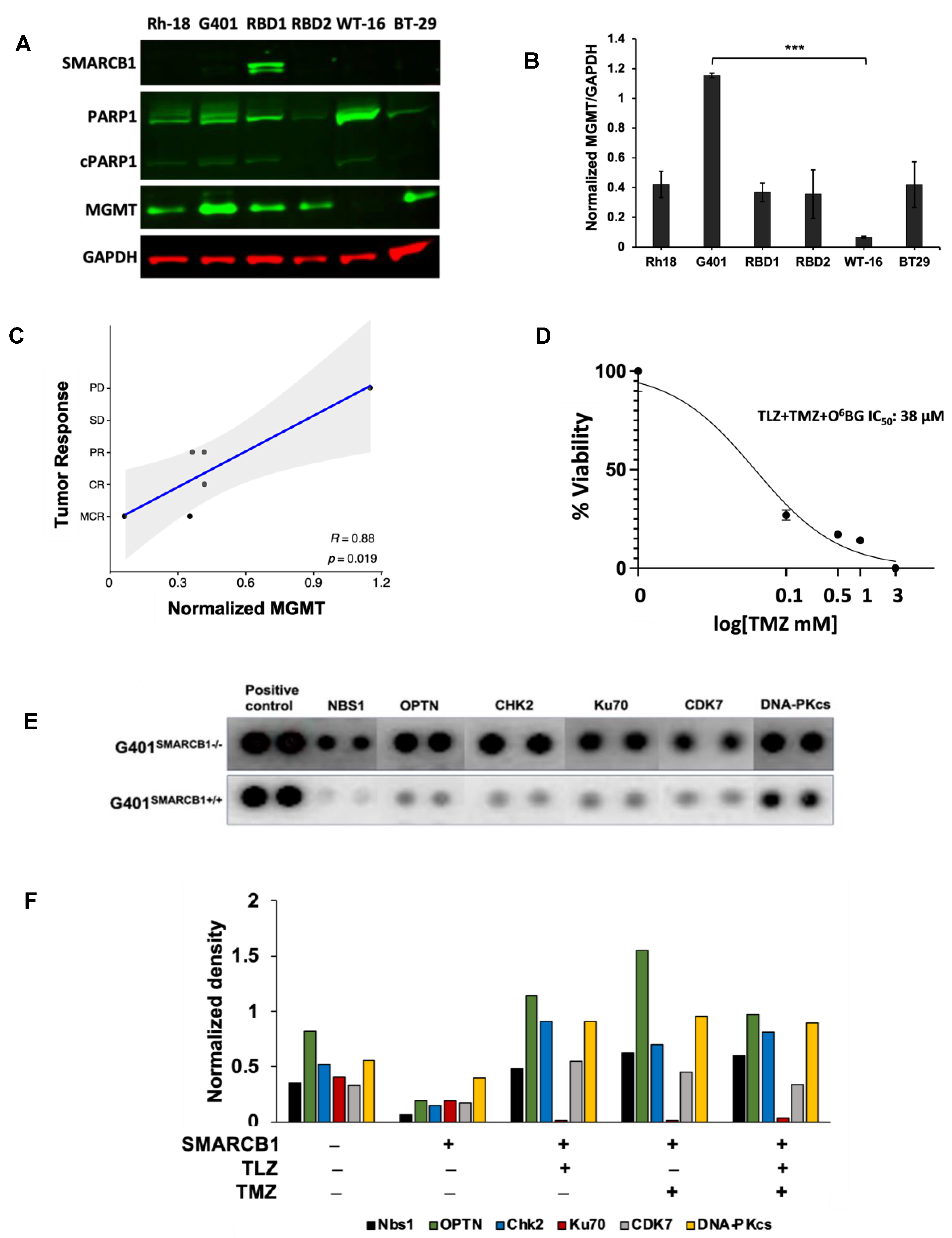 Cancers 16 02041 g007
