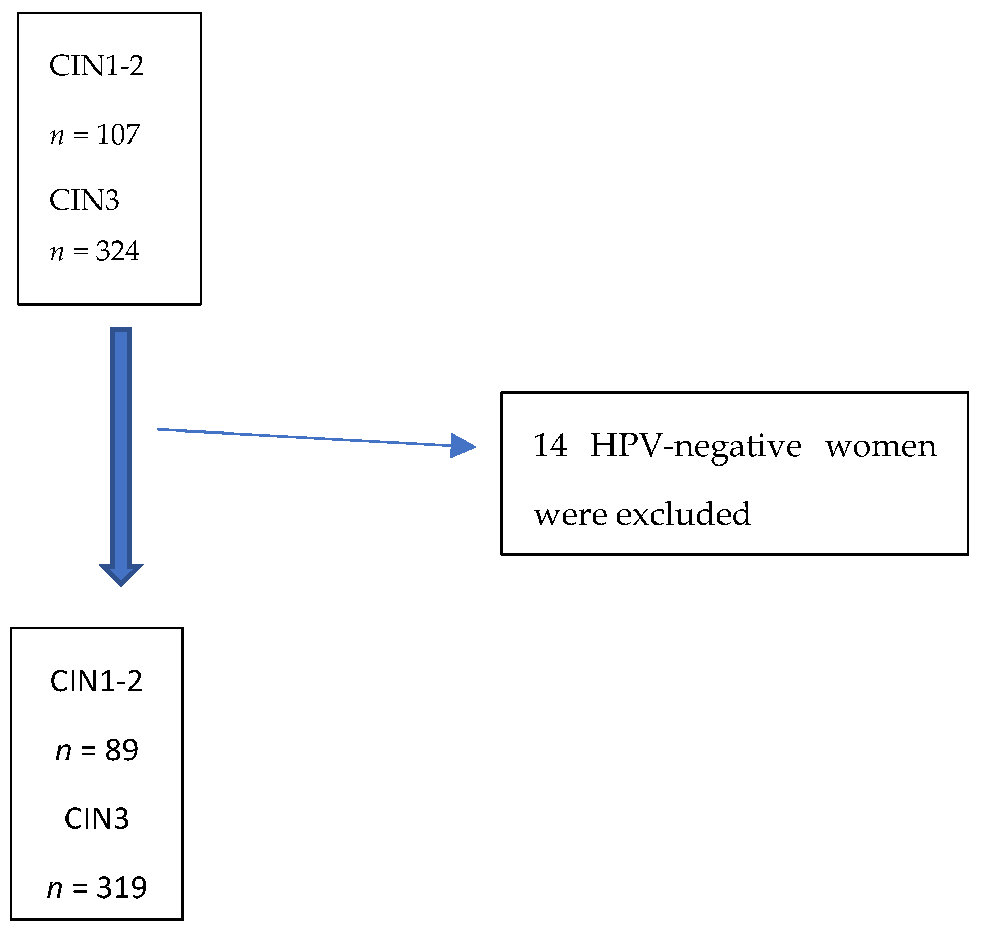Cancers 16 02043 g001