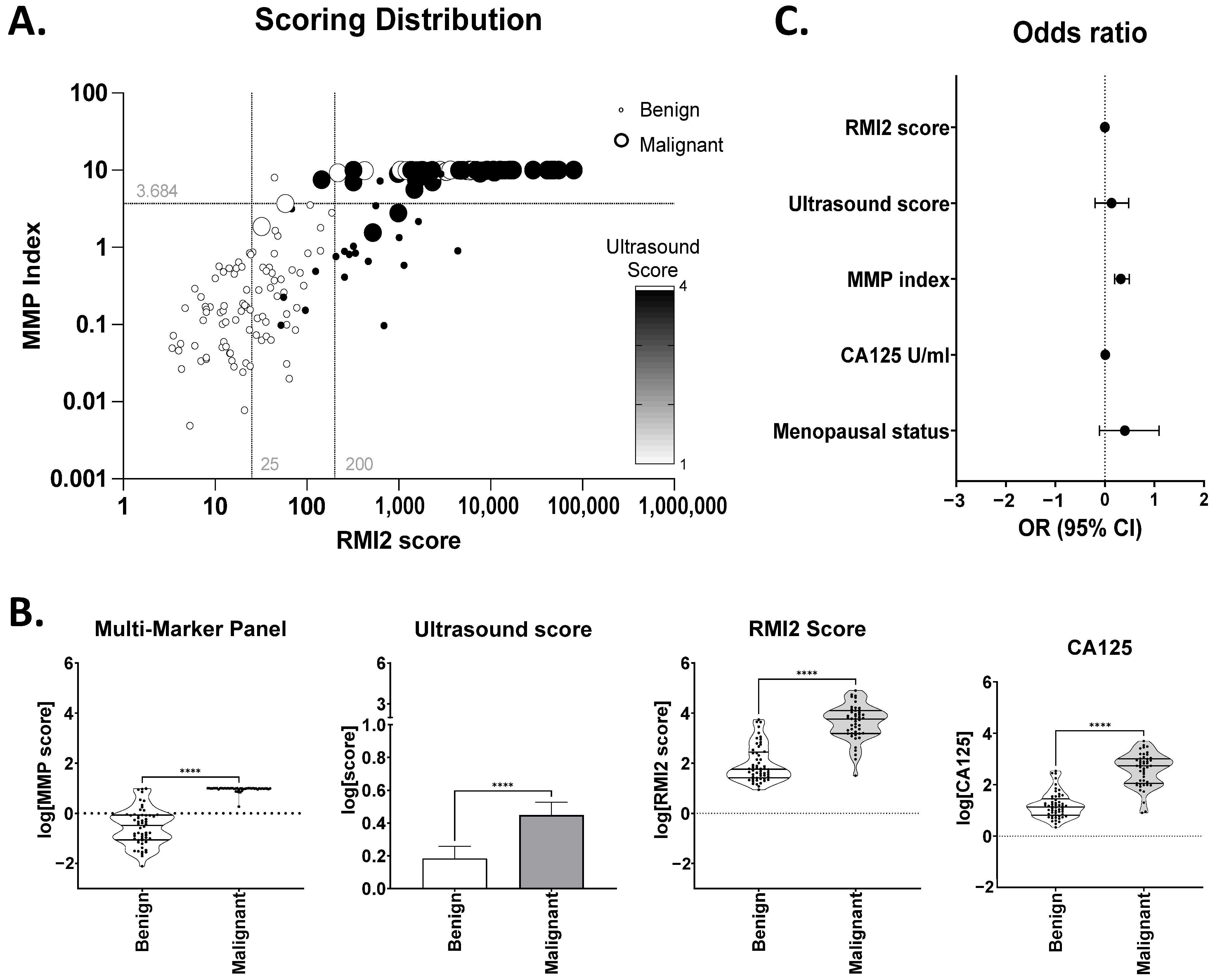Cancers 16 02048 g001