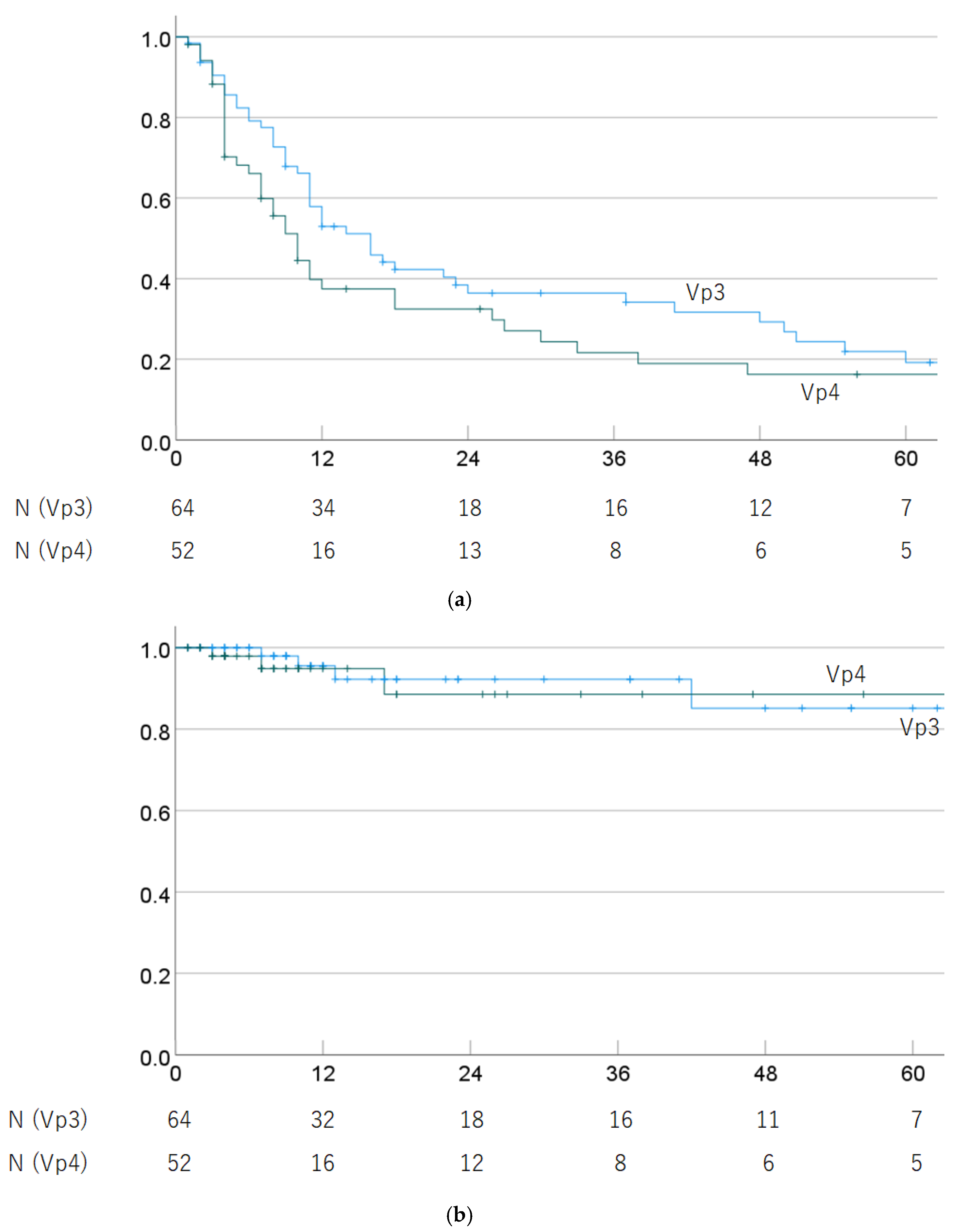 Cancers 16 02050 g003