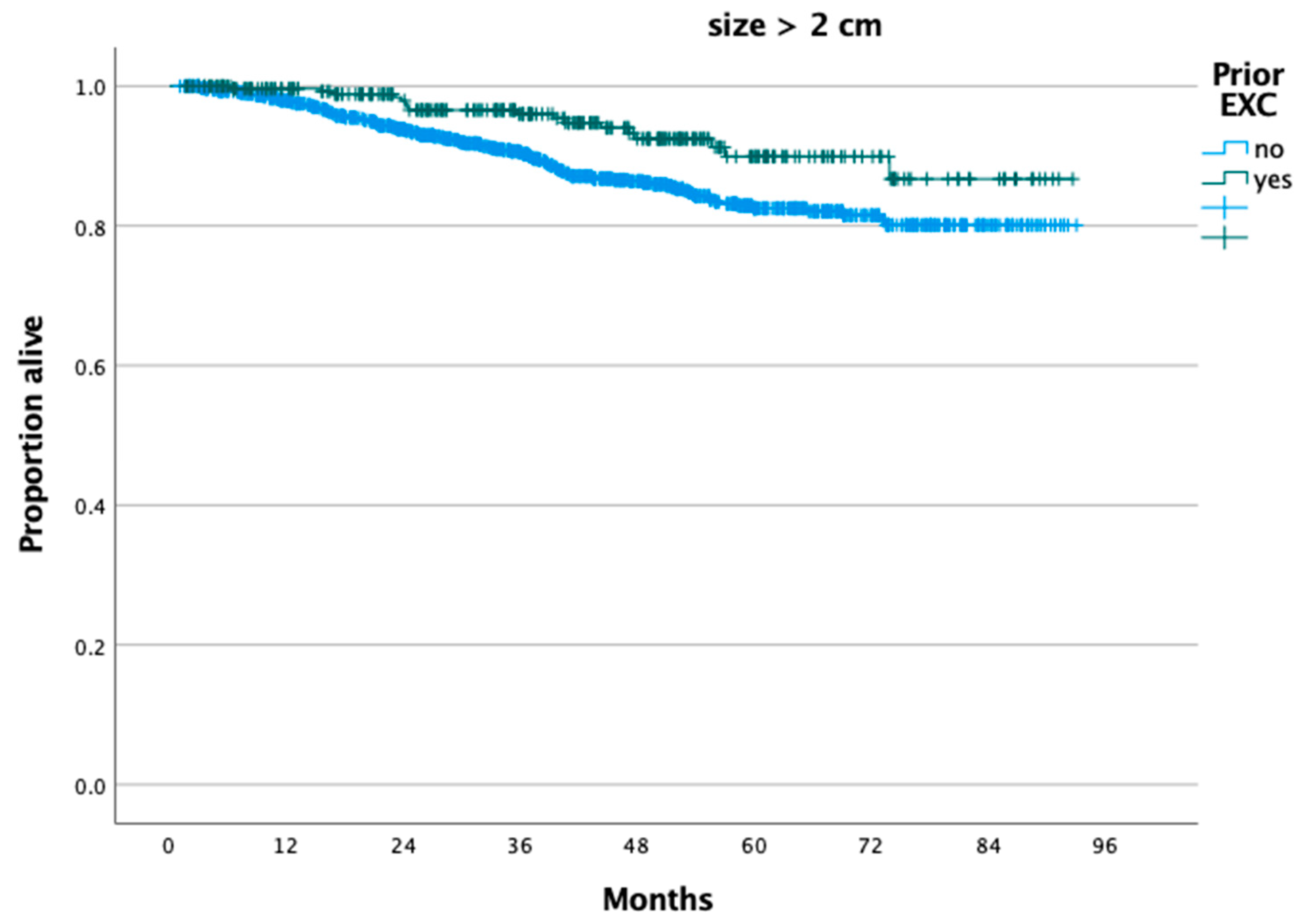 Cancers 16 02051 g002