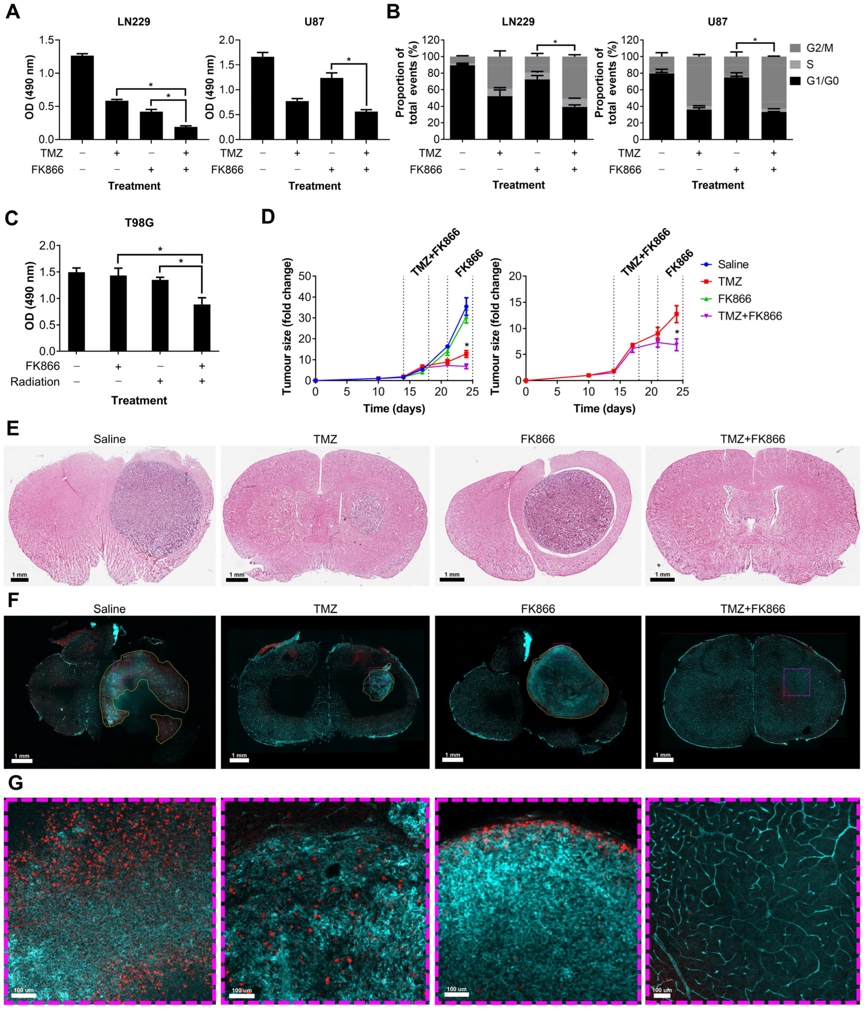Cancers 16 02054 g004