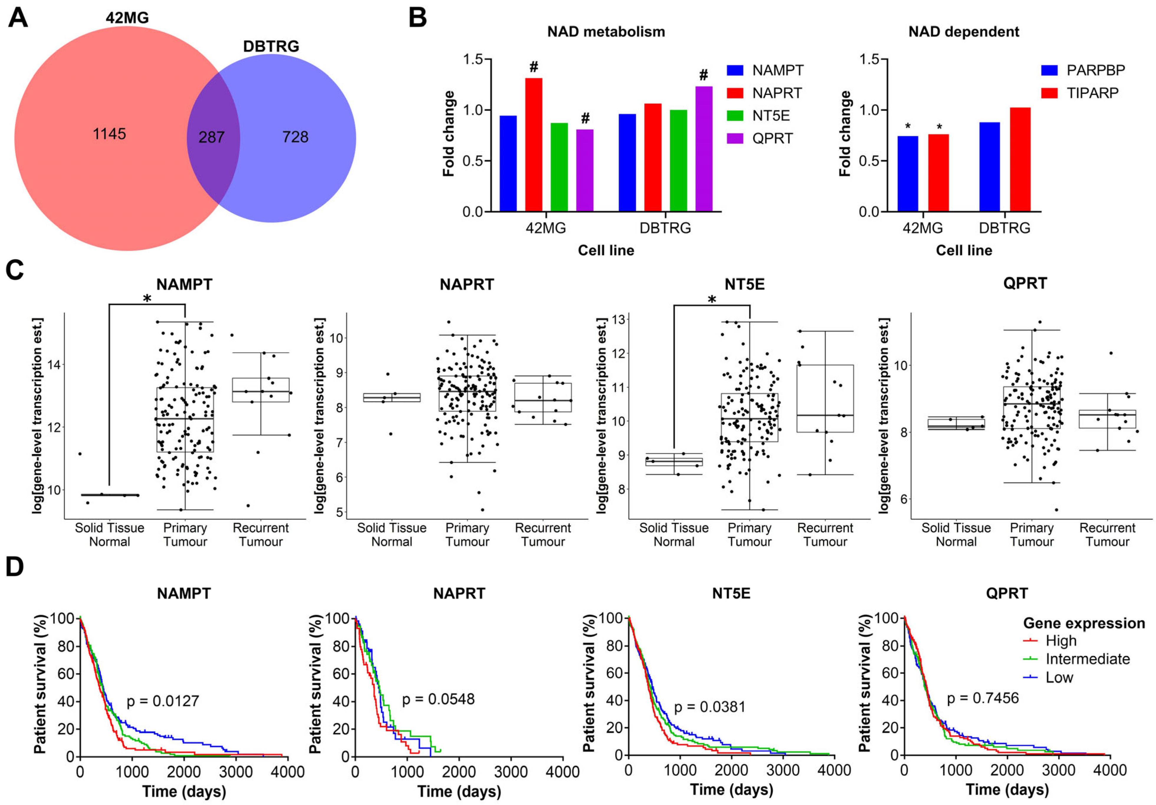 Cancers 16 02054 g005