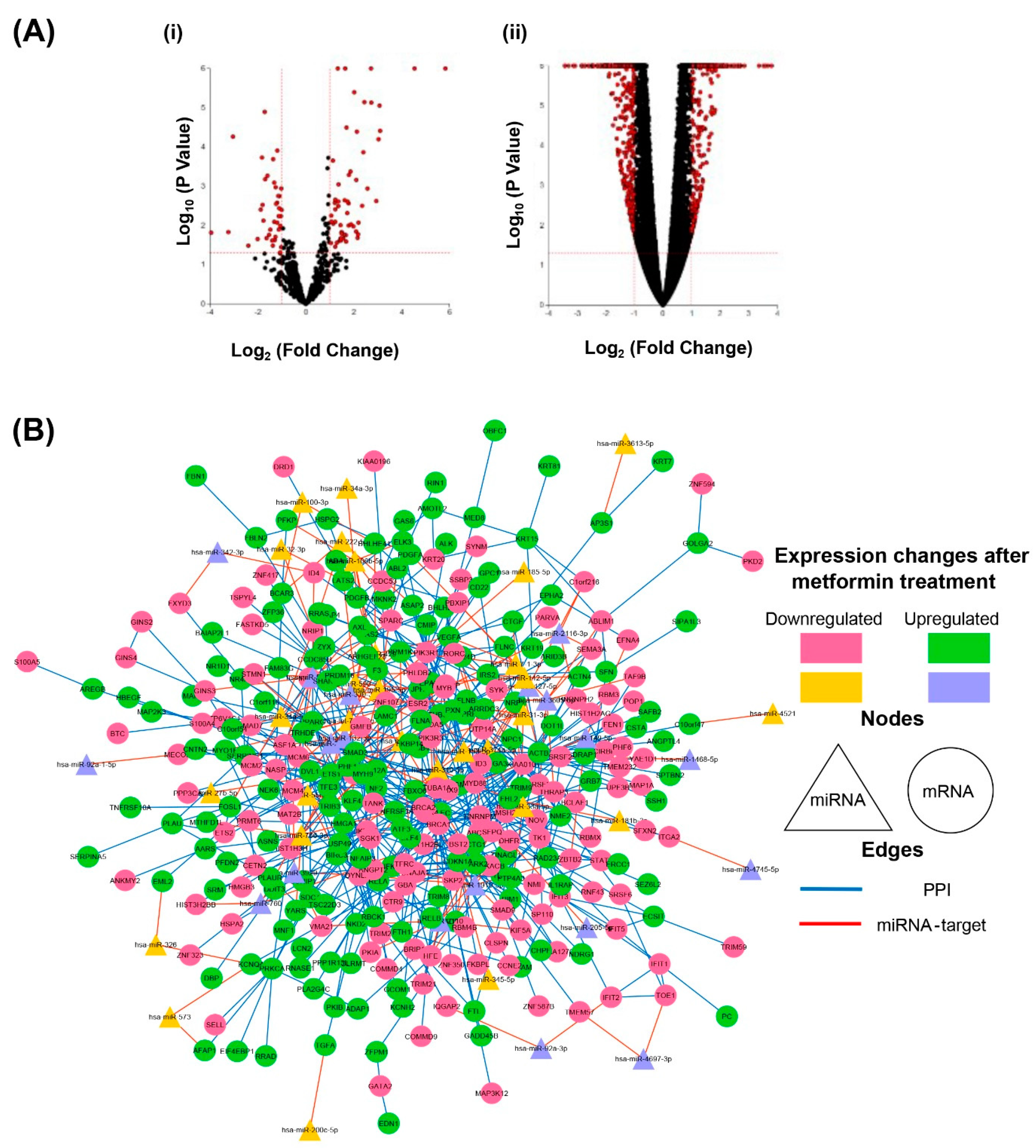 Cancers 16 02055 g001