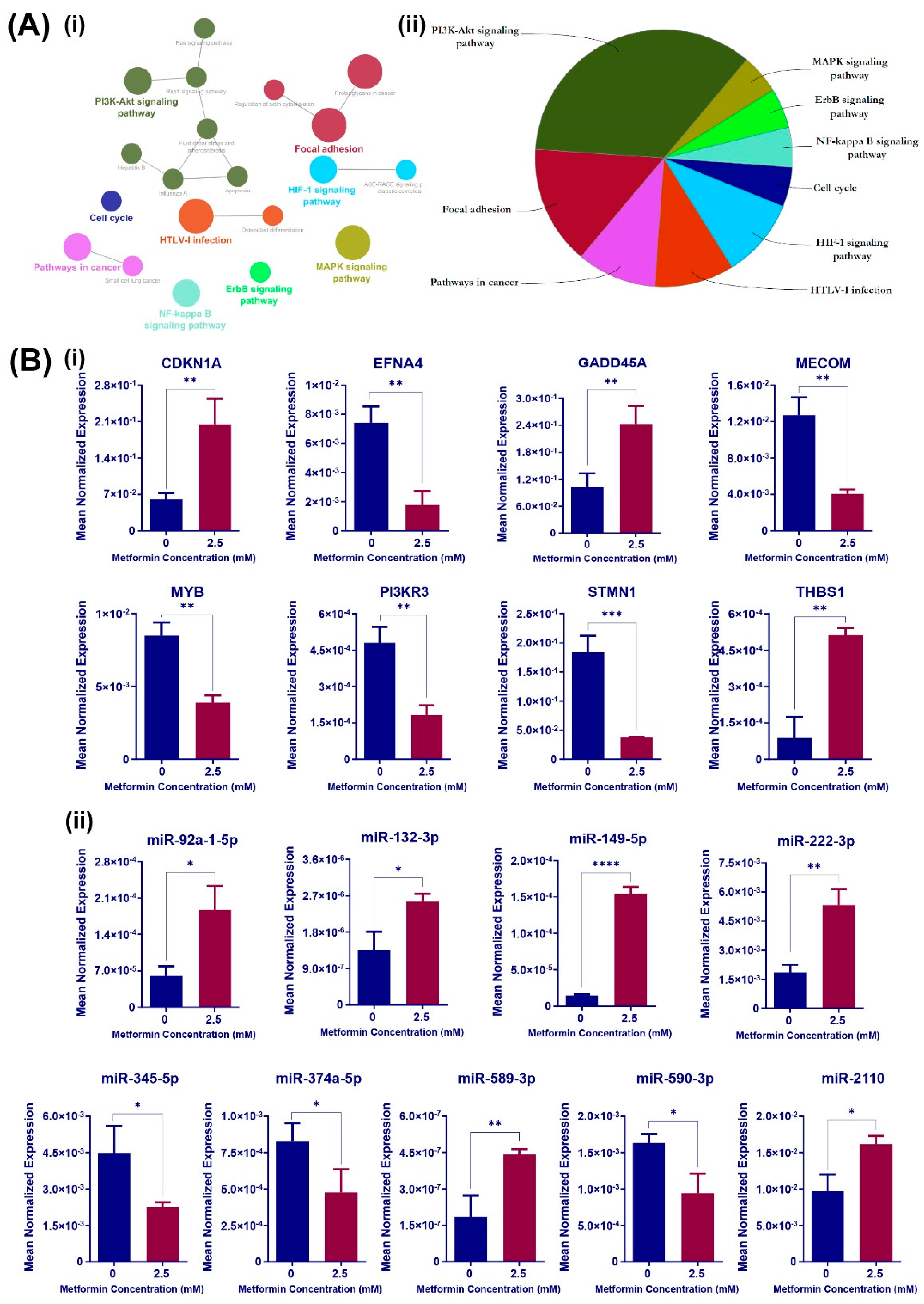 Cancers 16 02055 g002