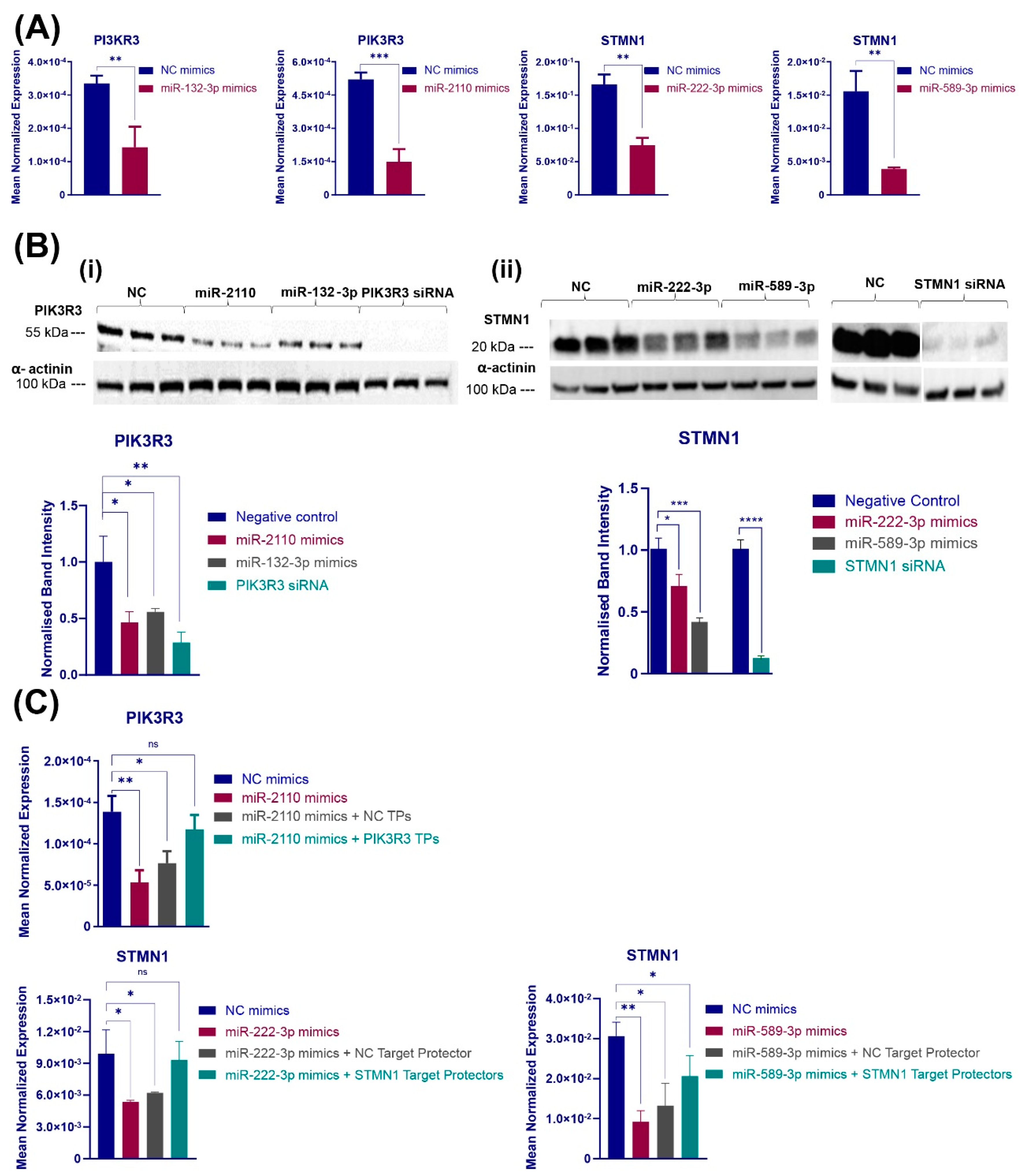 Cancers 16 02055 g003