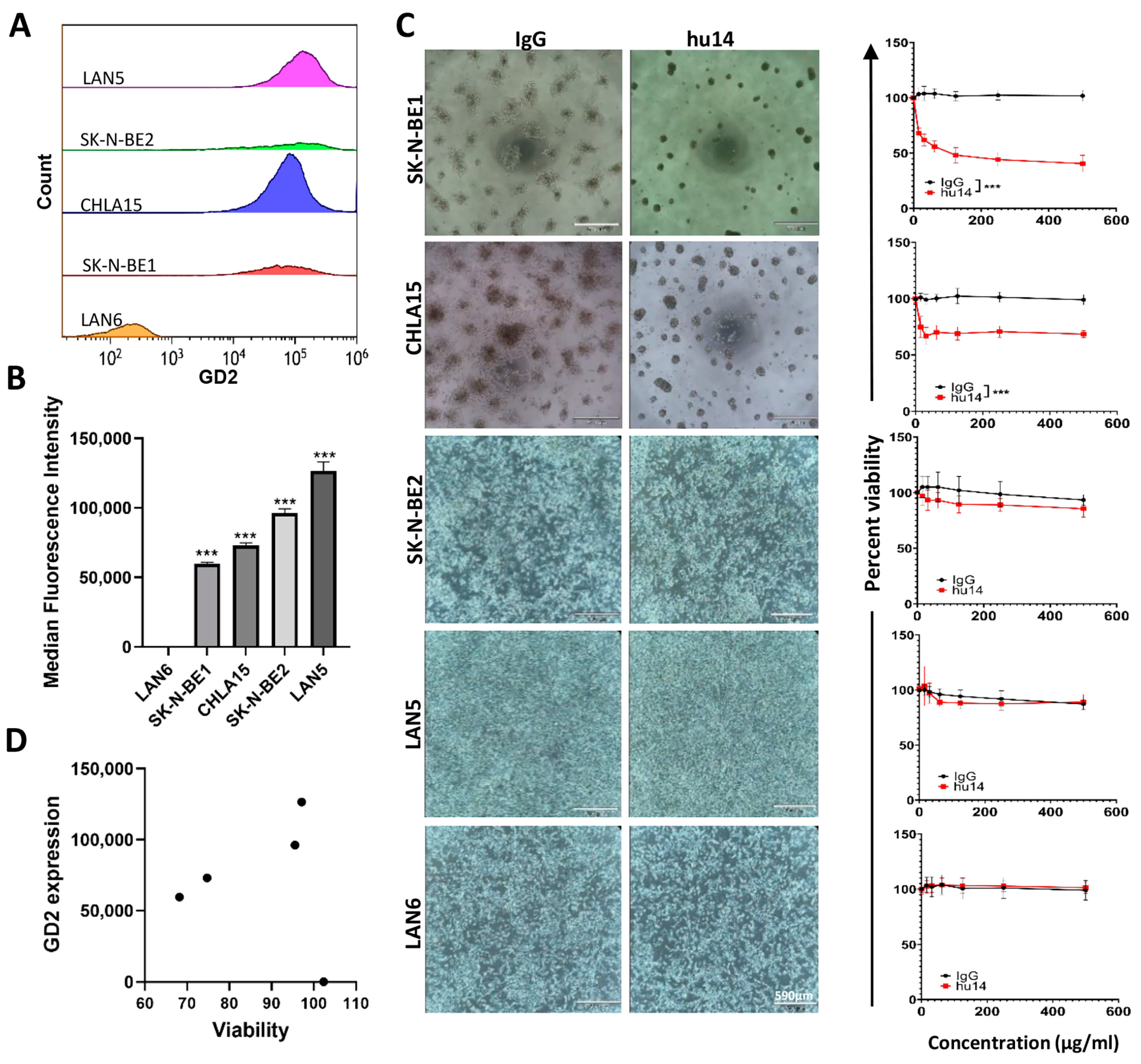 Cancers 16 02064 g001