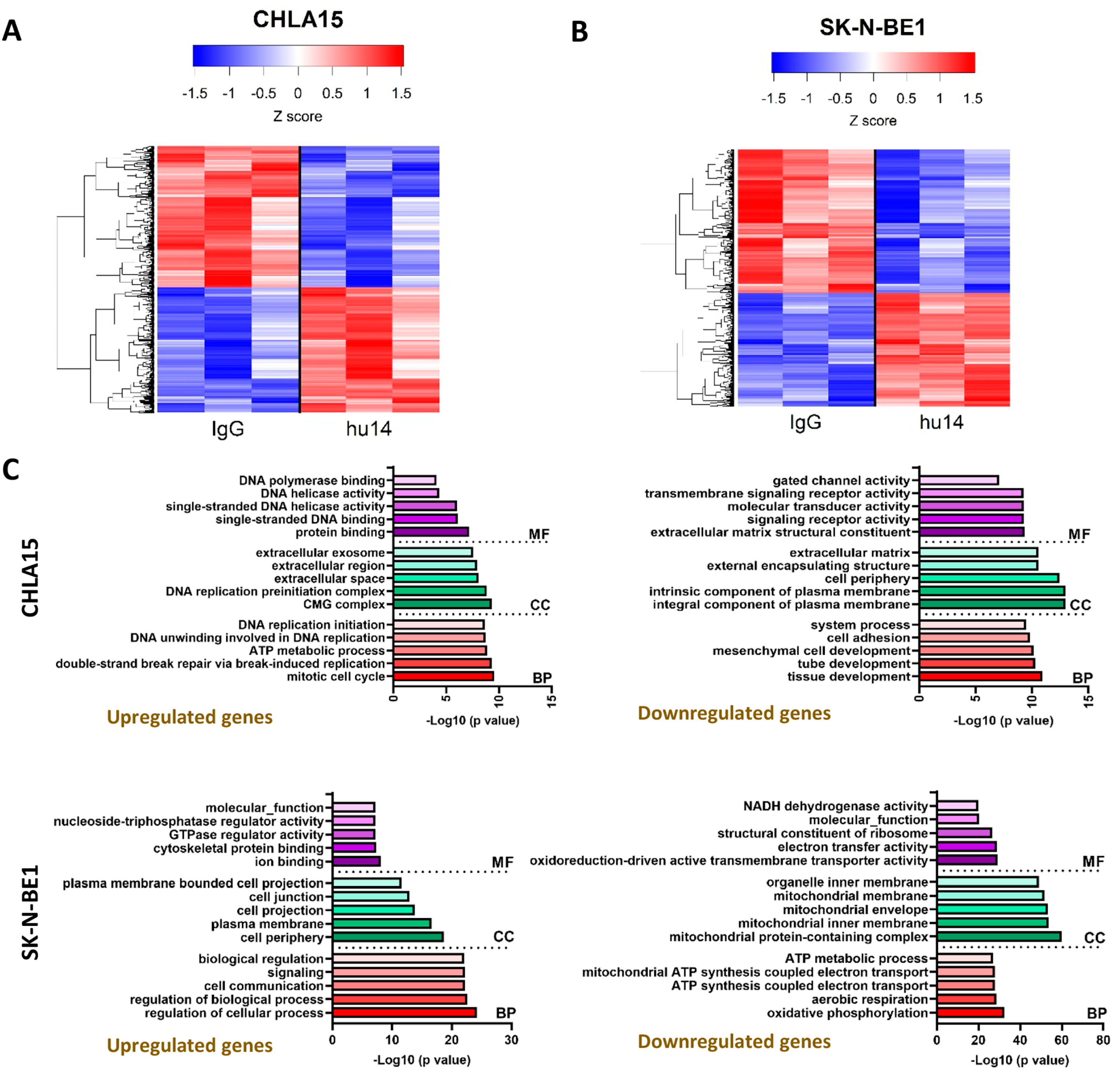 Cancers 16 02064 g006