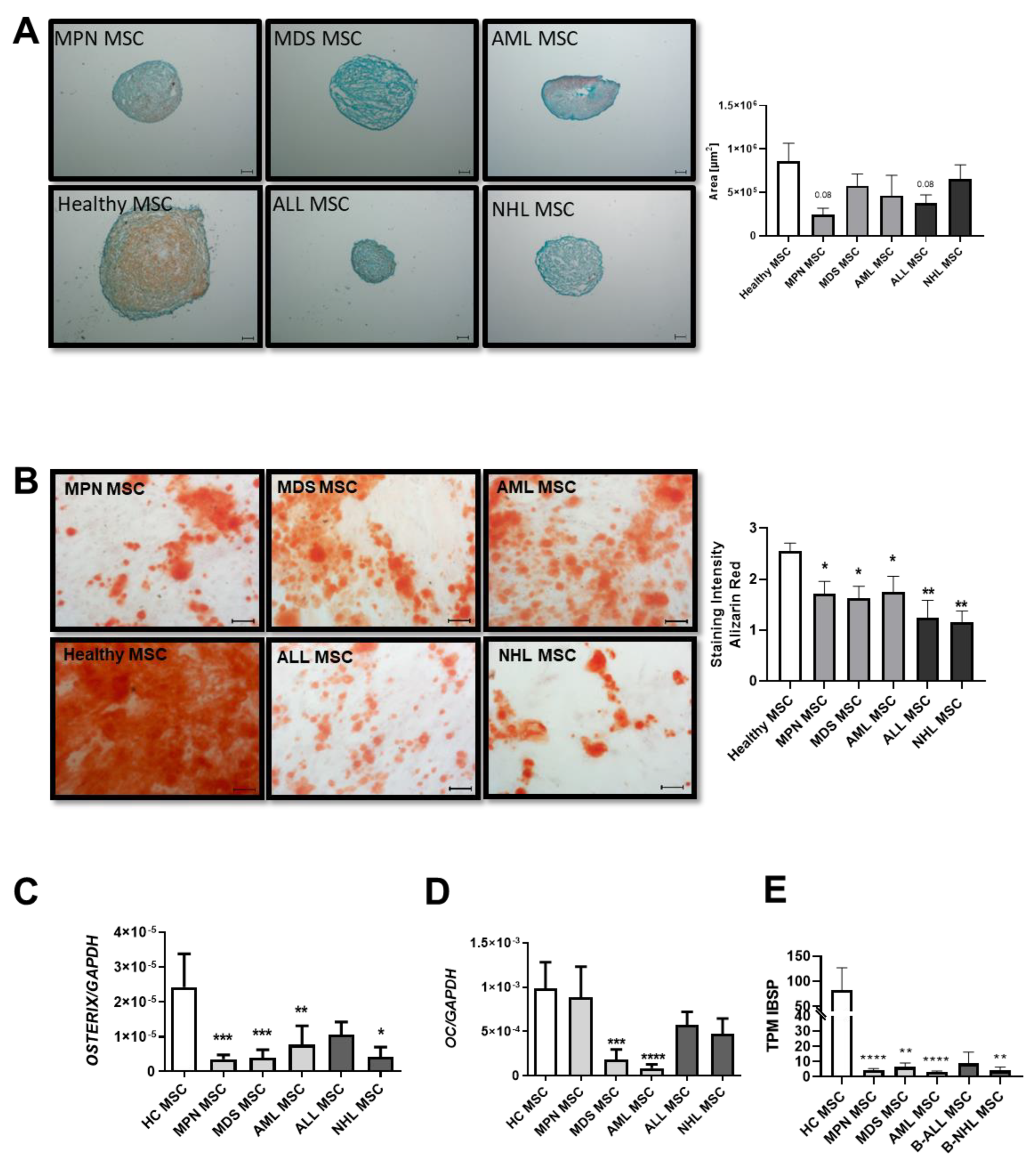 Cancers 16 02071 g002