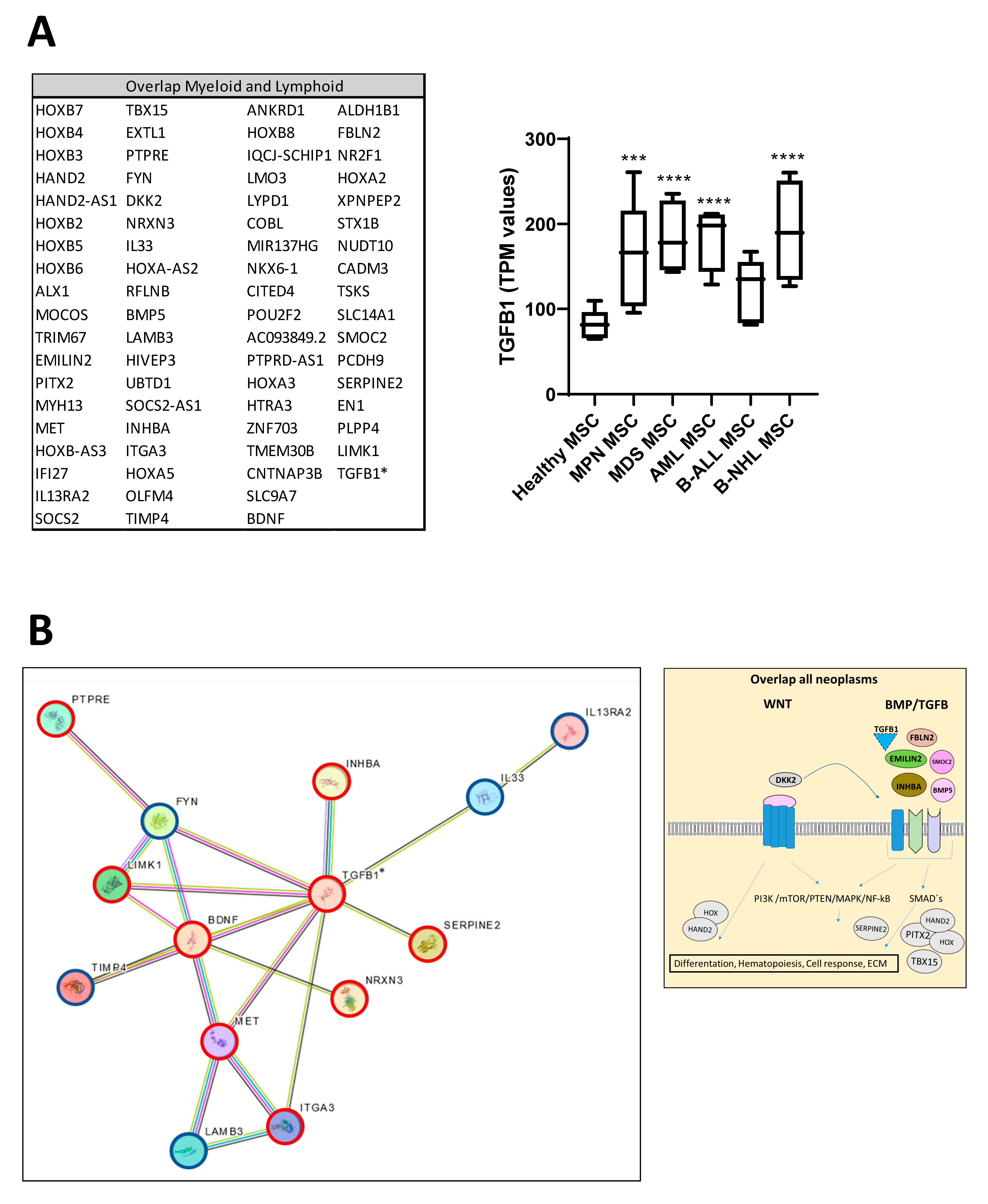 Cancers 16 02071 g006a