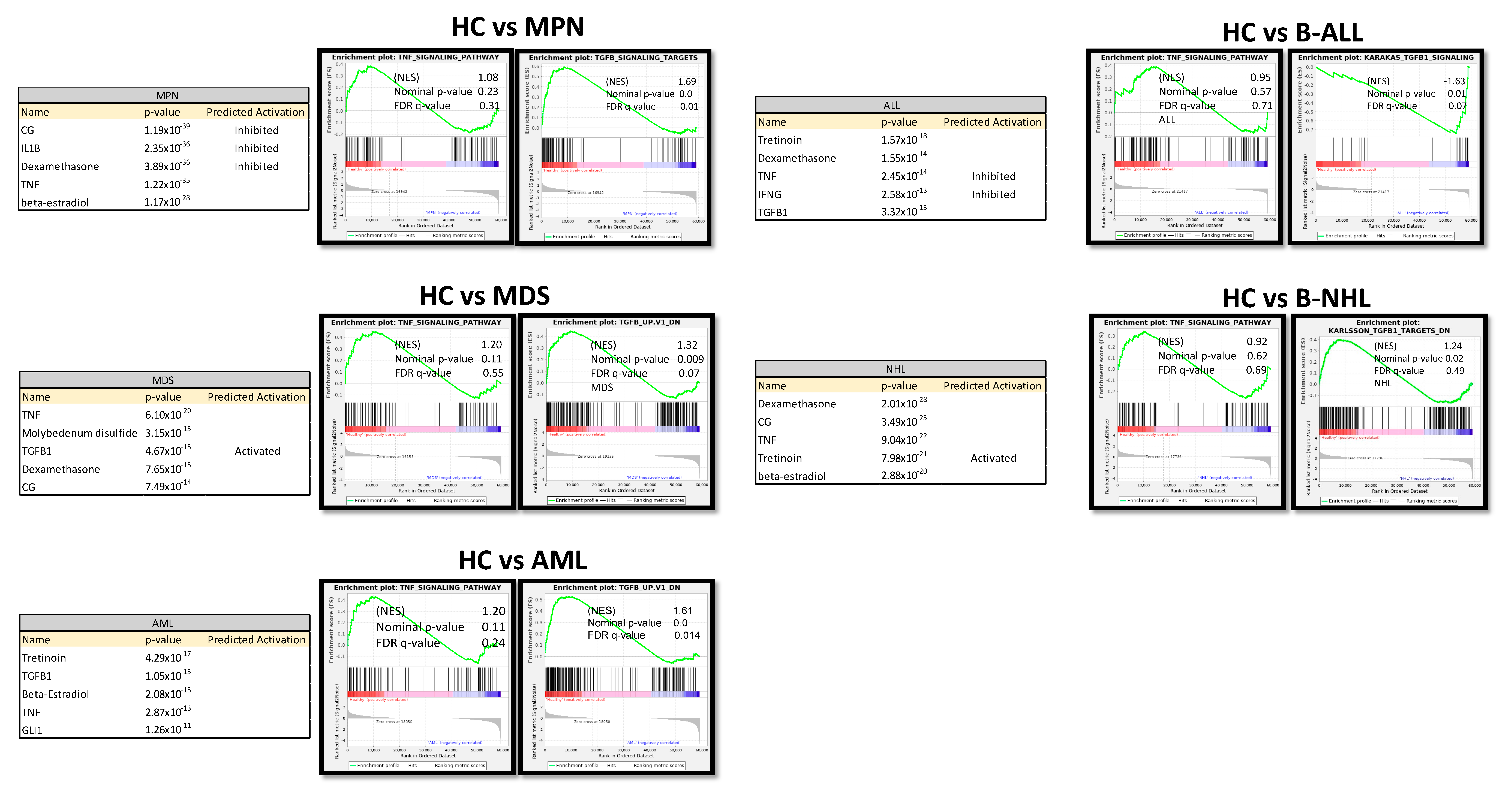 Cancers 16 02071 g007