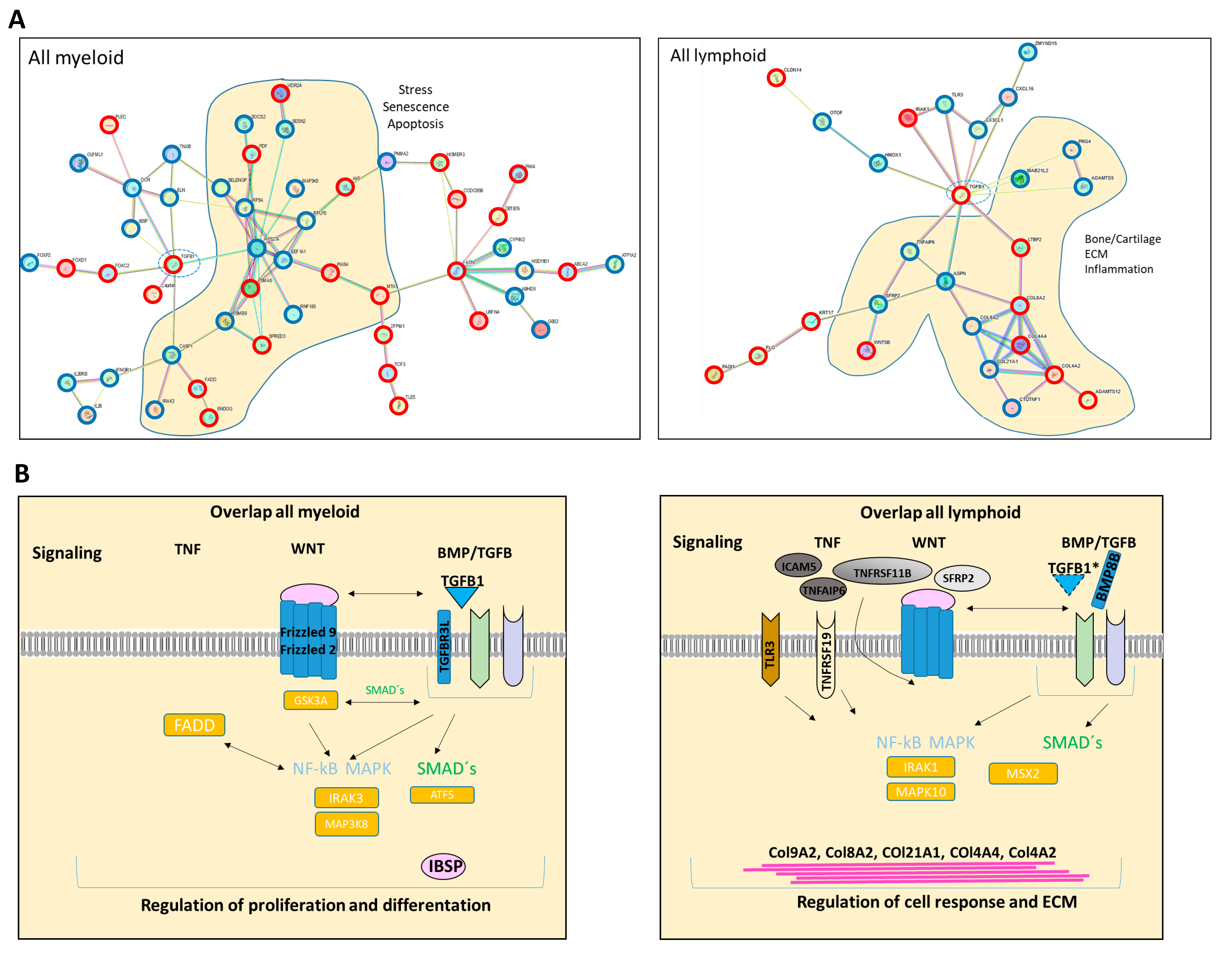 Cancers 16 02071 g008a