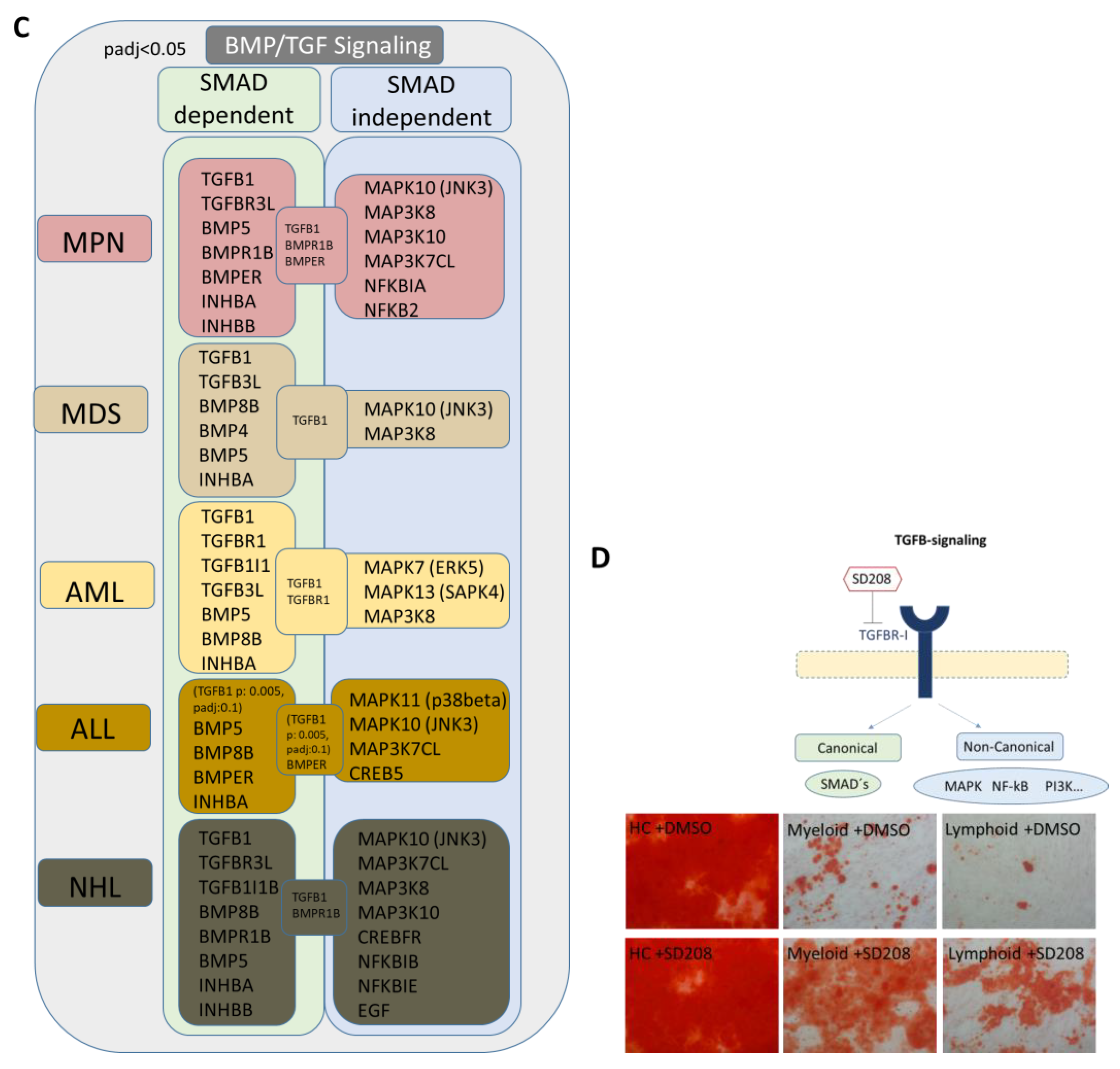Cancers 16 02071 g008b
