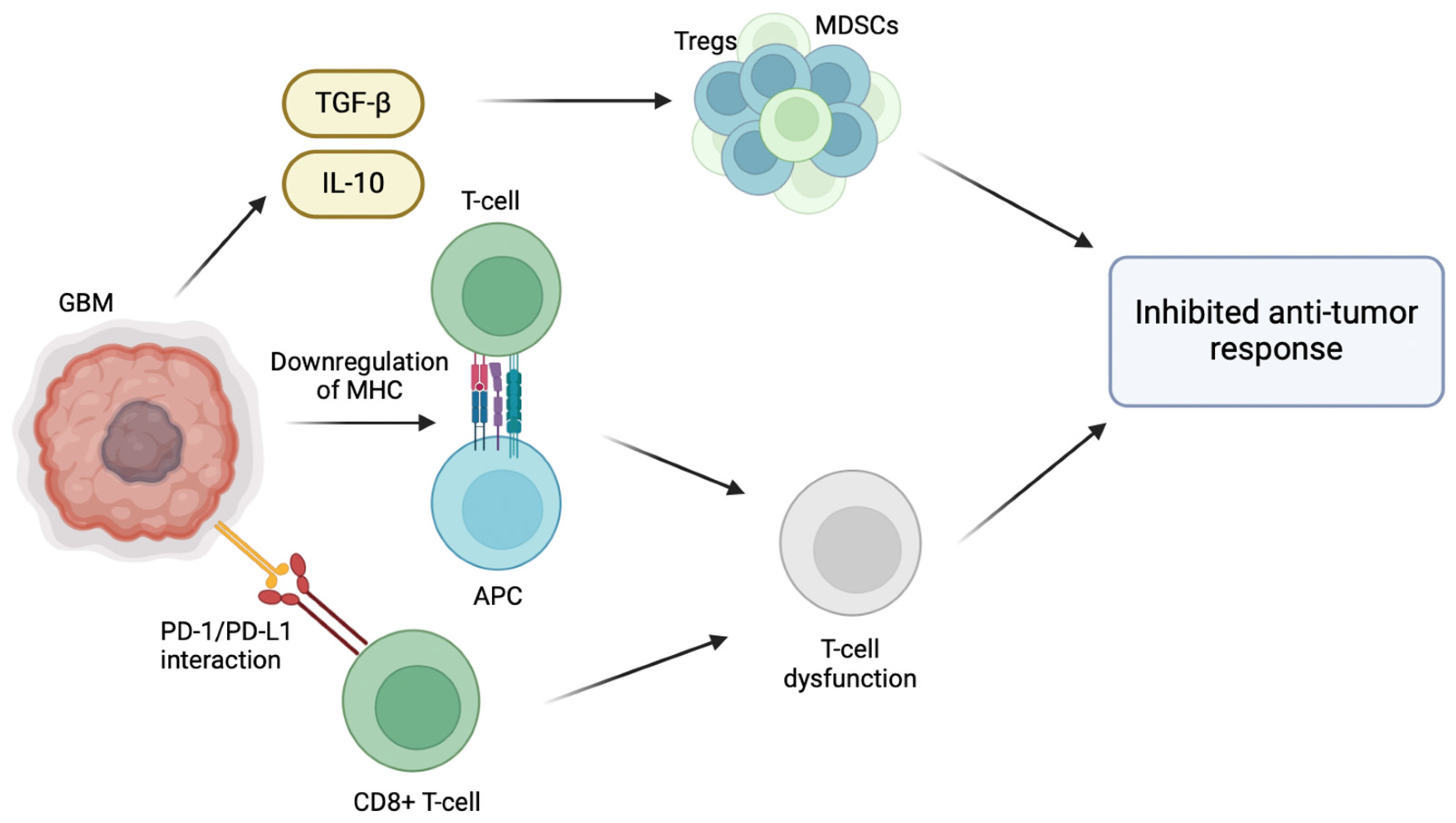 Cancers 16 02074 g001