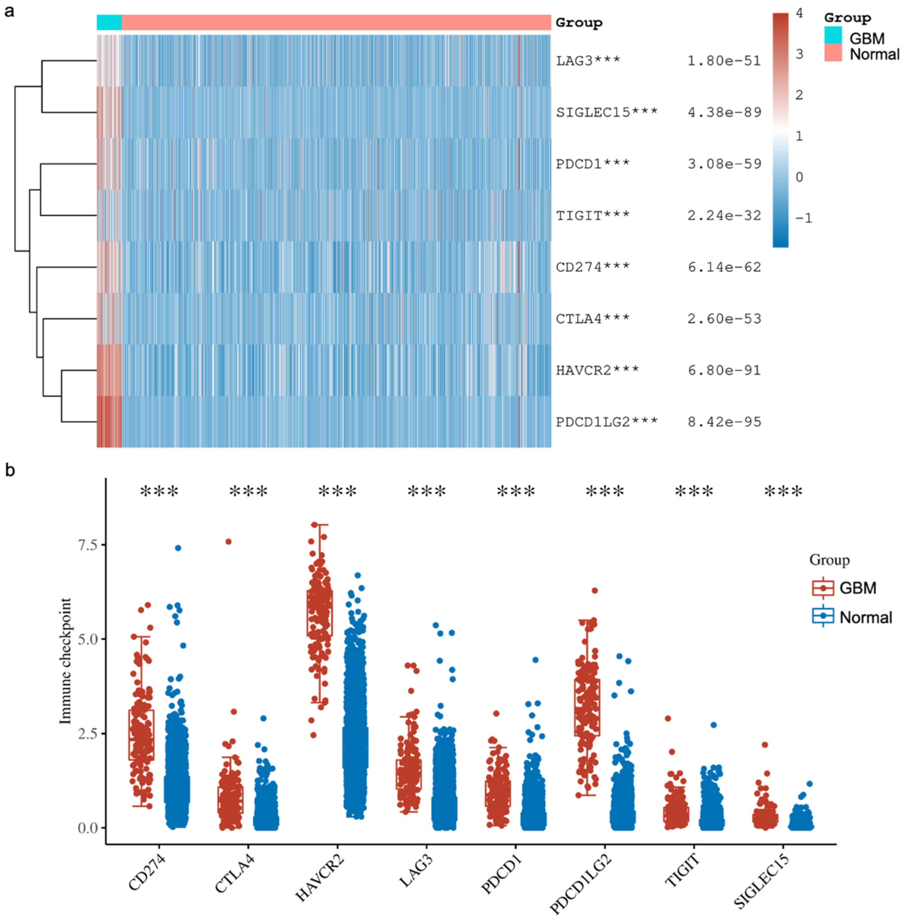 Cancers 16 02074 g004