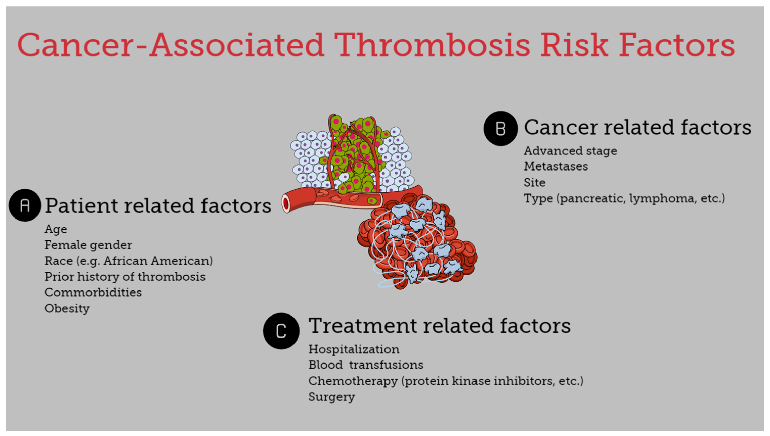 Cancers 16 02082 g001