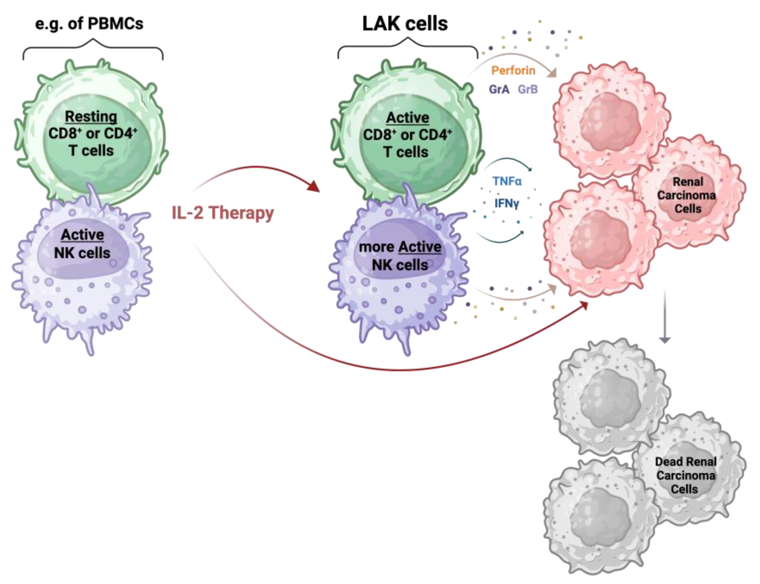 Cancers 16 02092 g003