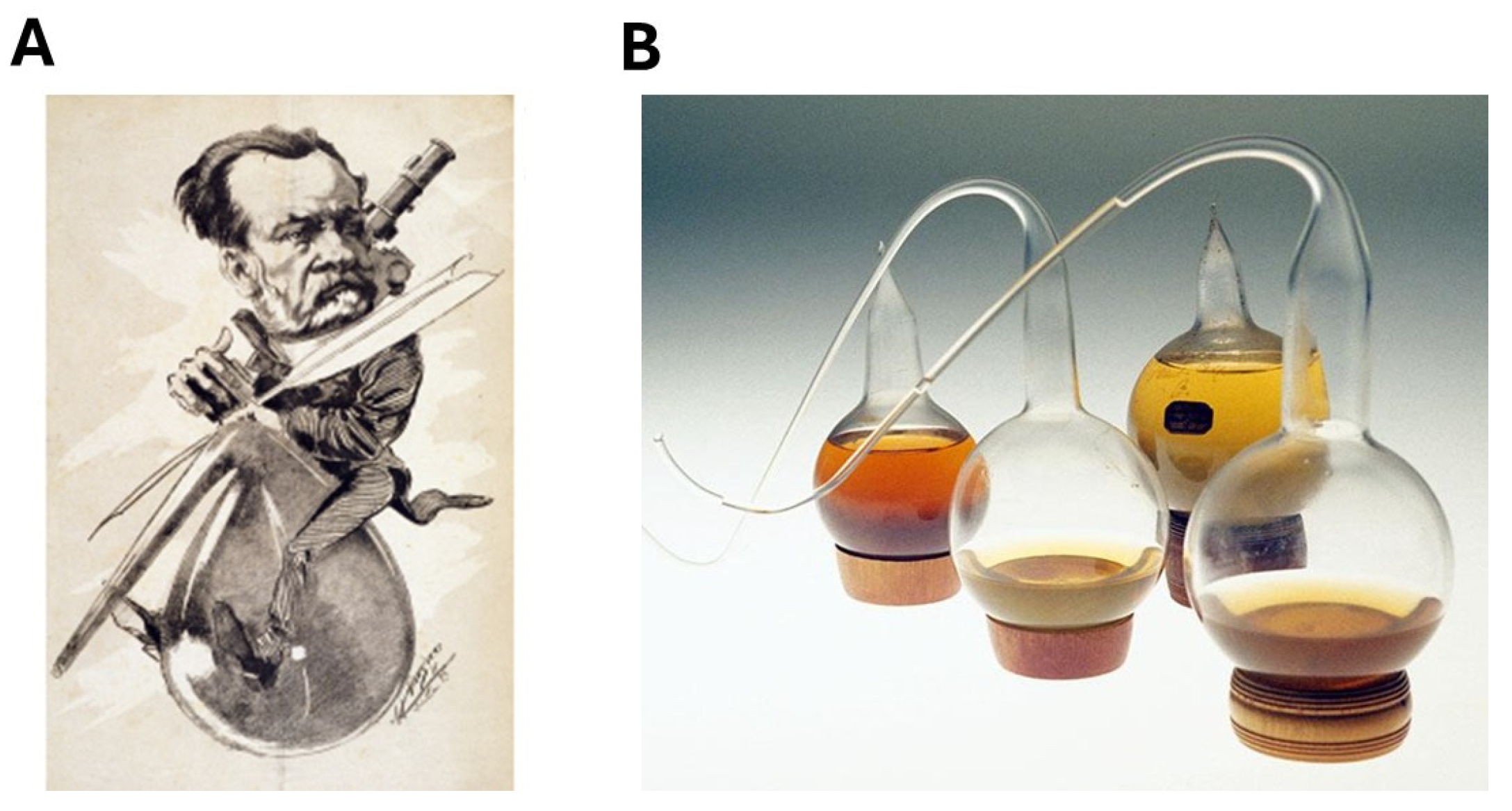 Cancers 16 02104 g004