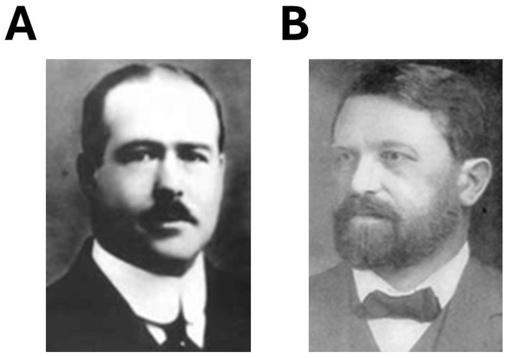 Cancers 16 02104 g006