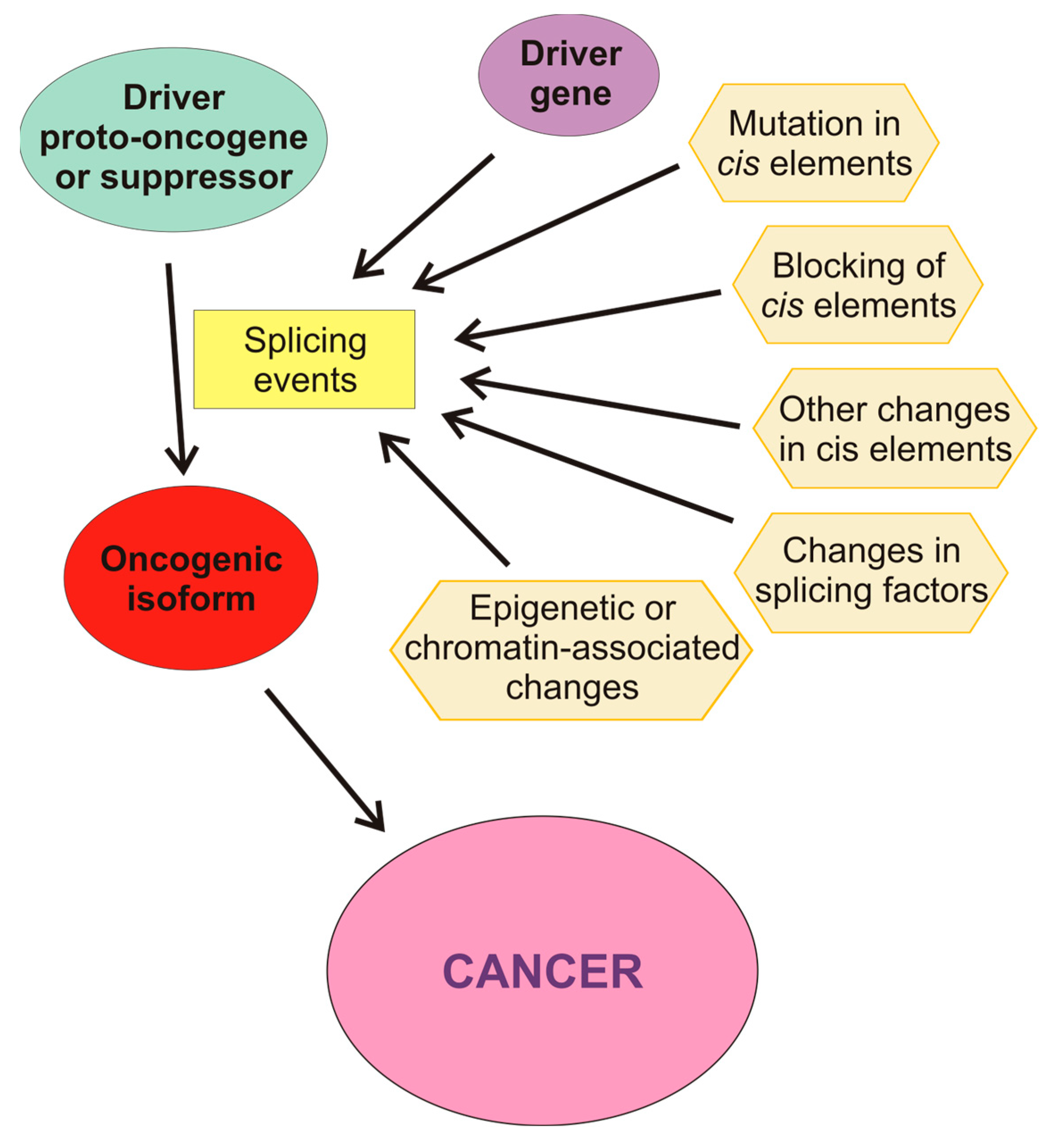 Cancers 16 02123 g003 Cancers 16 02123 g003