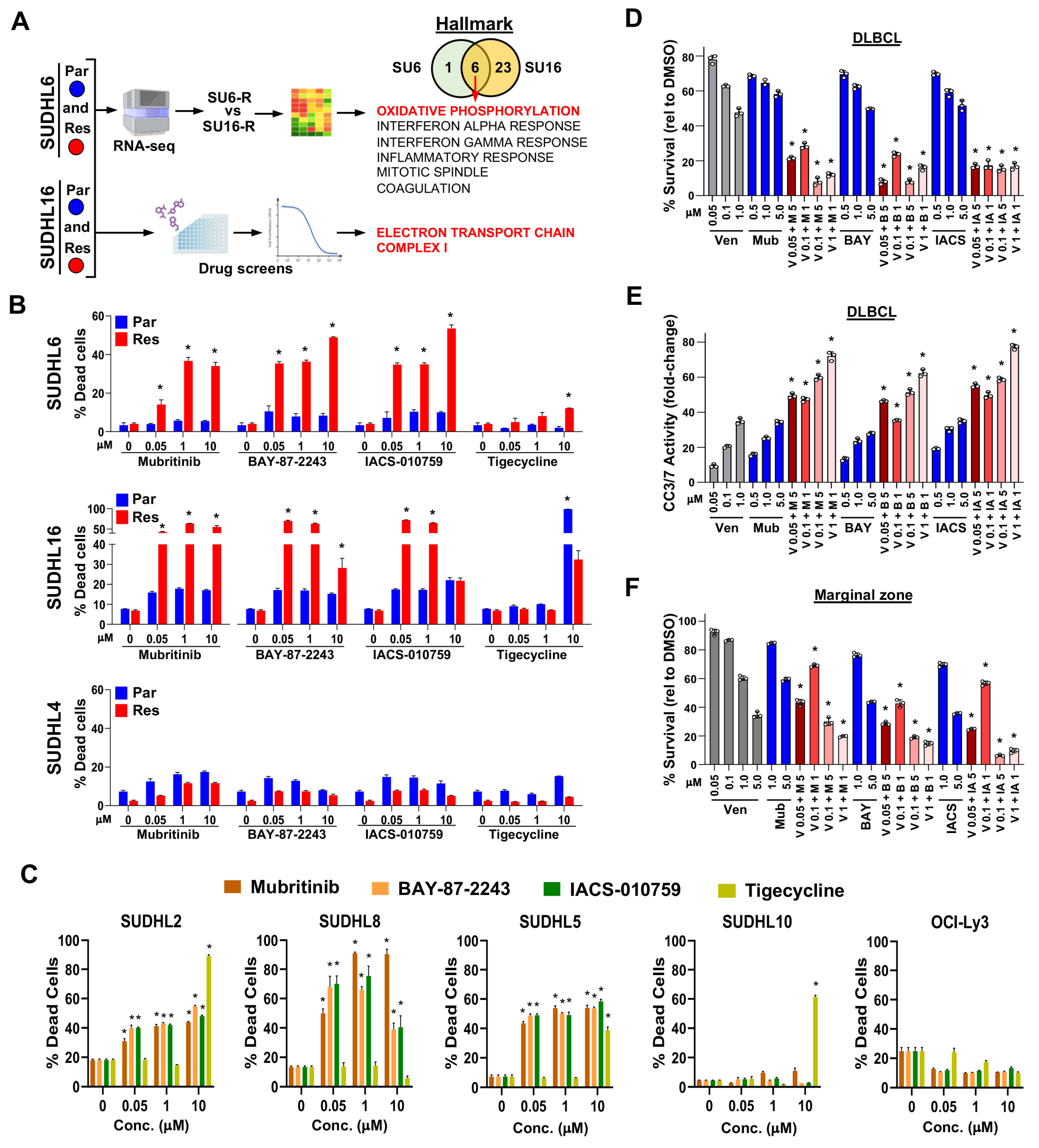 Cancers 16 02130 g003