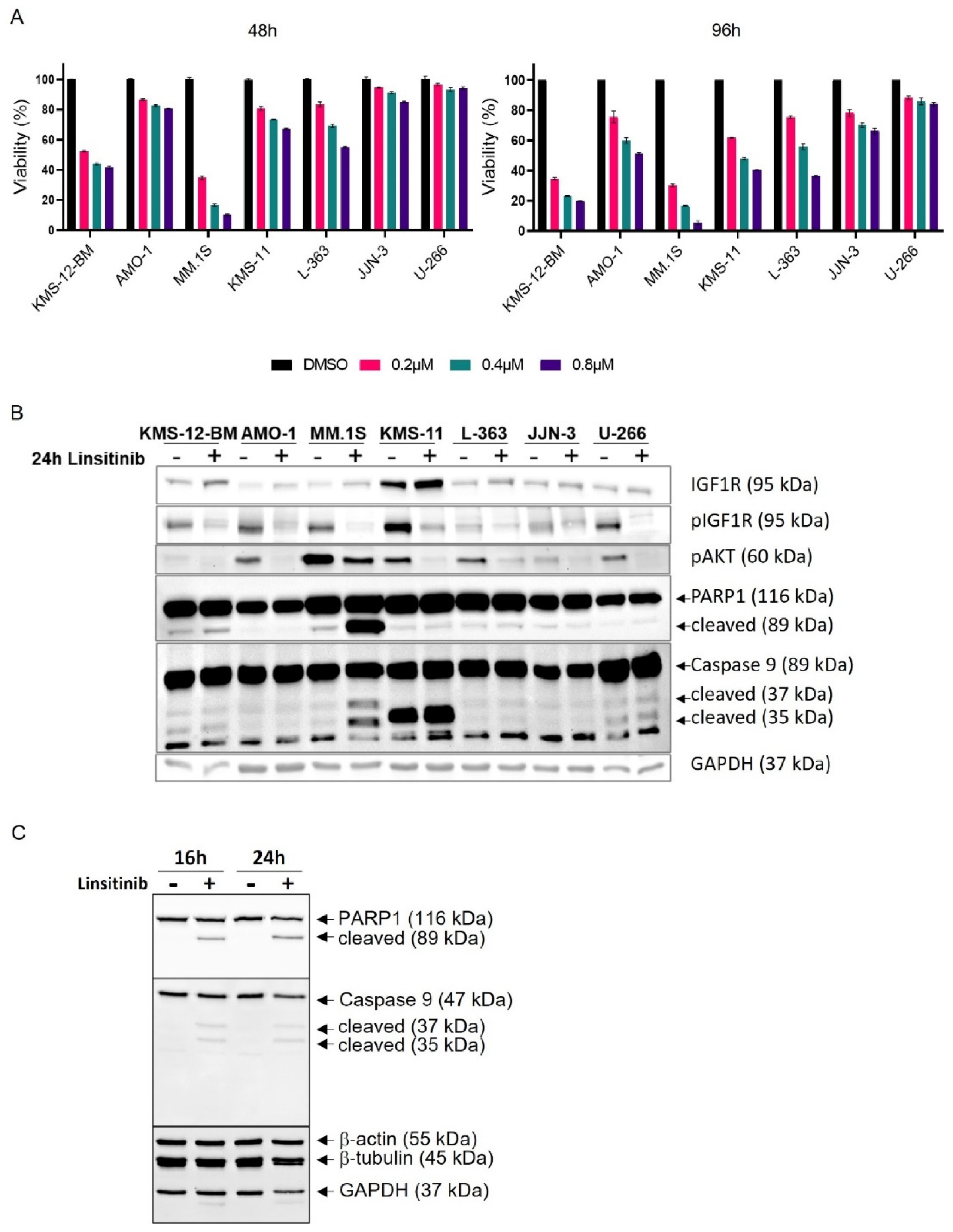Cancers 16 02139 g005