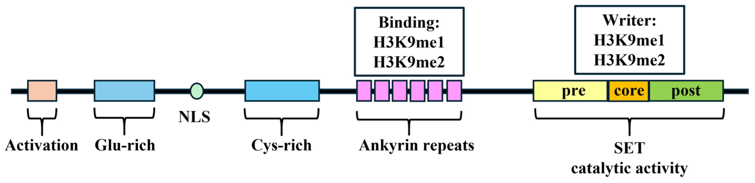 Cancers 16 02175 g001 Cancers 16 02175 g001