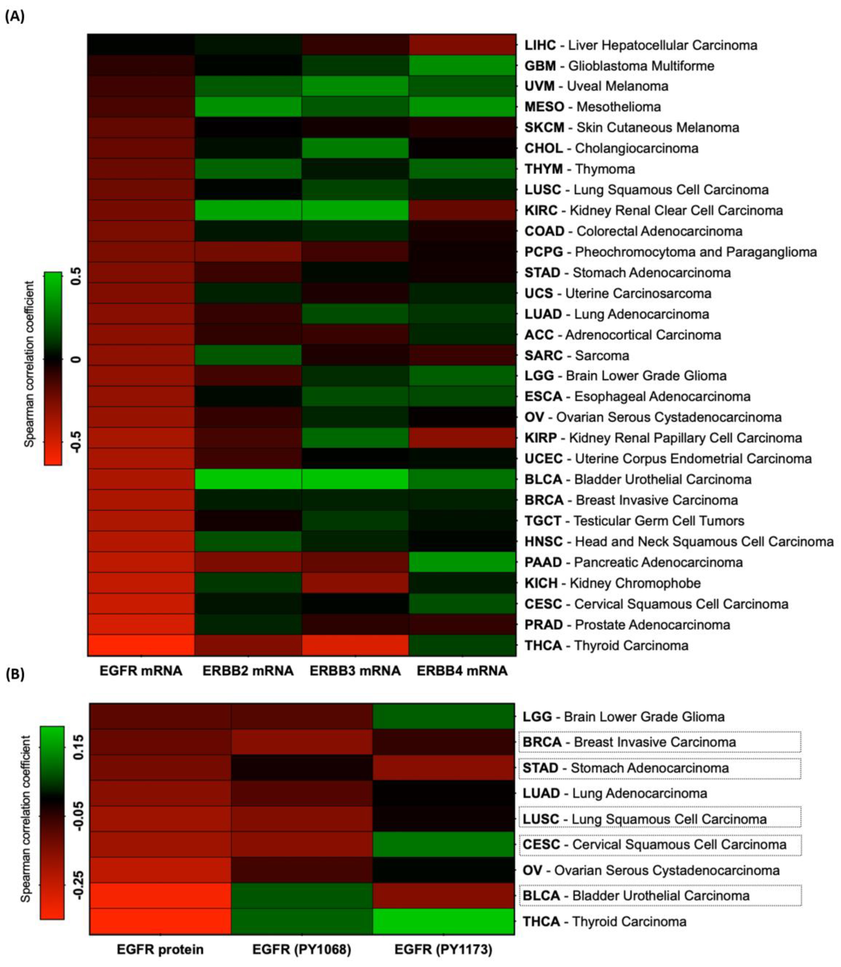 Cancers 16 02182 g001