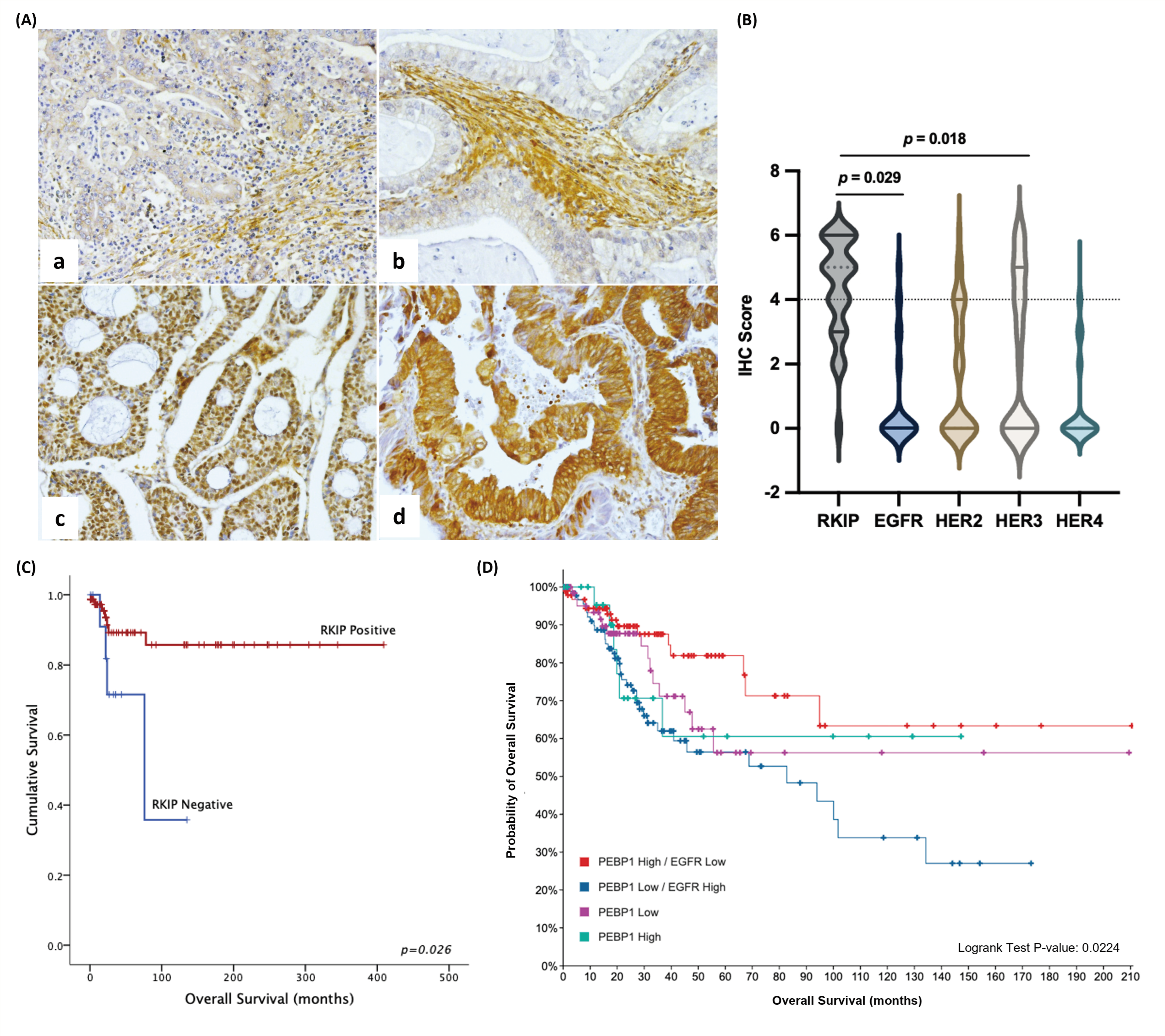 Cancers 16 02182 g002