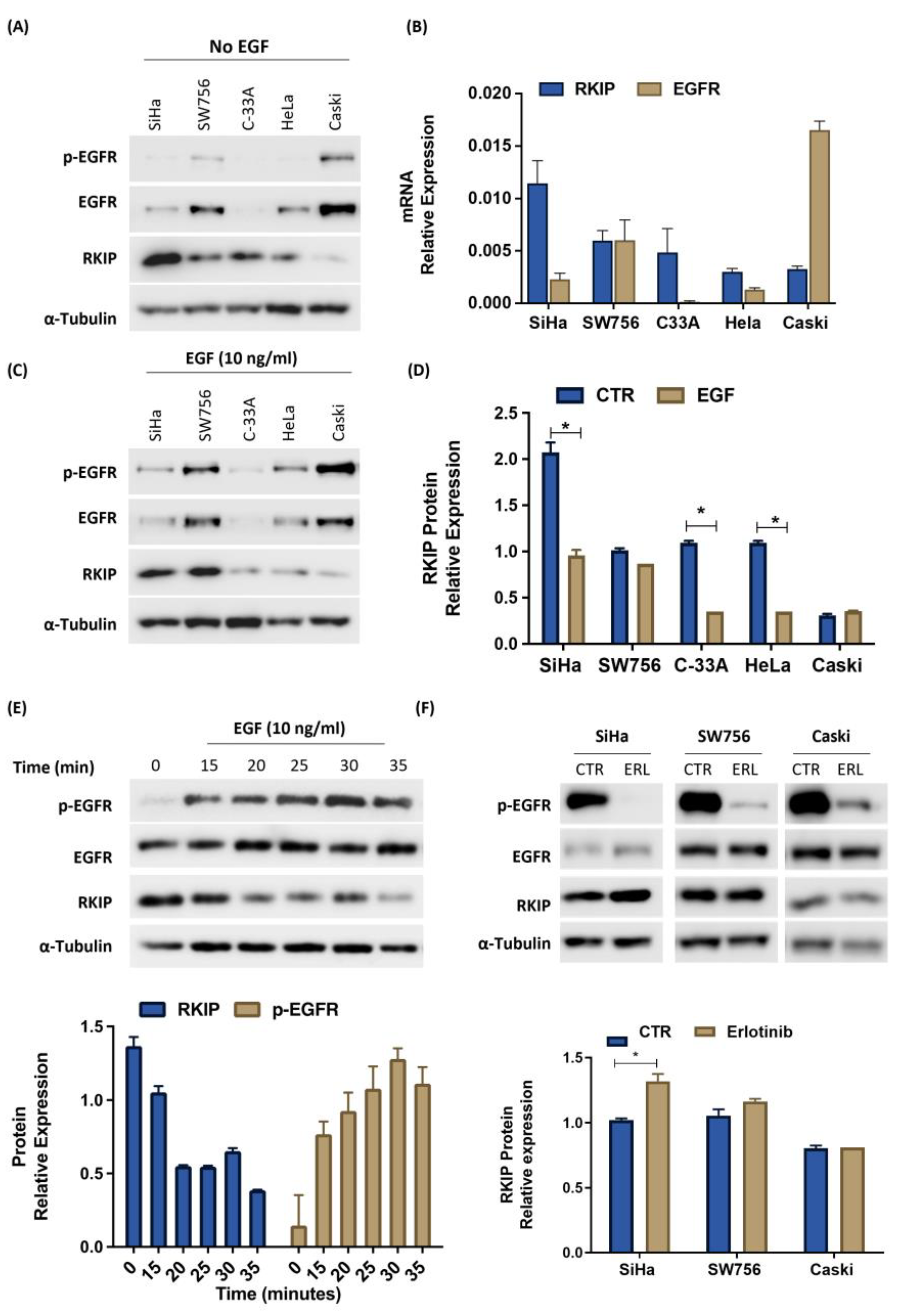 Cancers 16 02182 g003