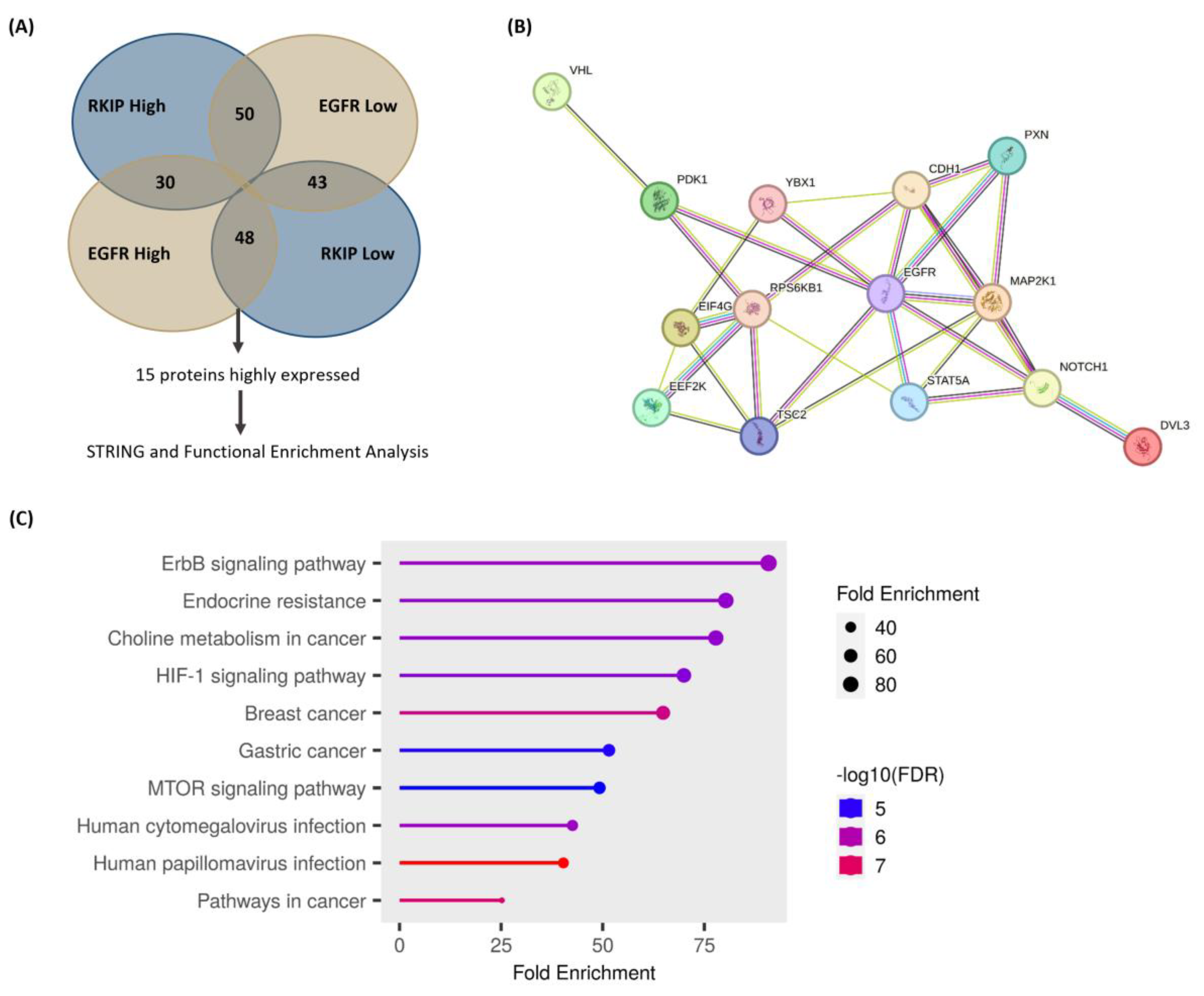 Cancers 16 02182 g005