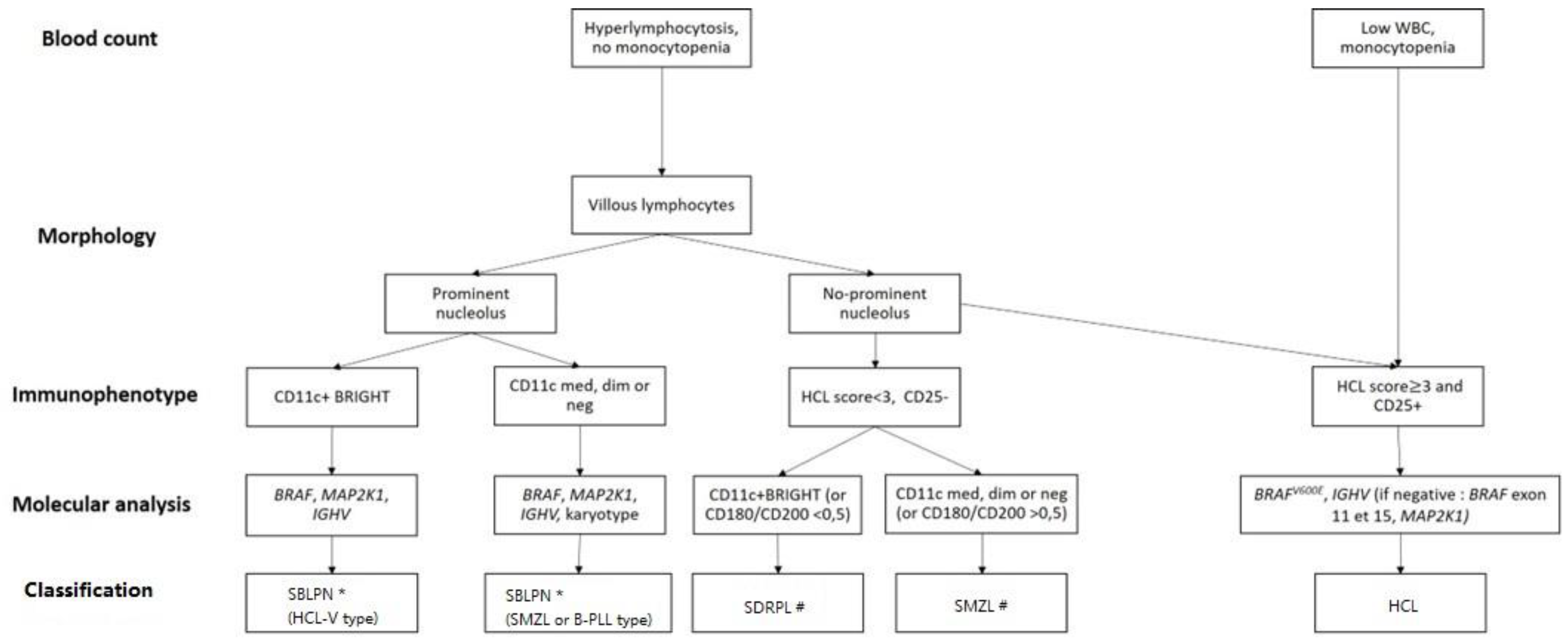 Cancers 16 02185 g001