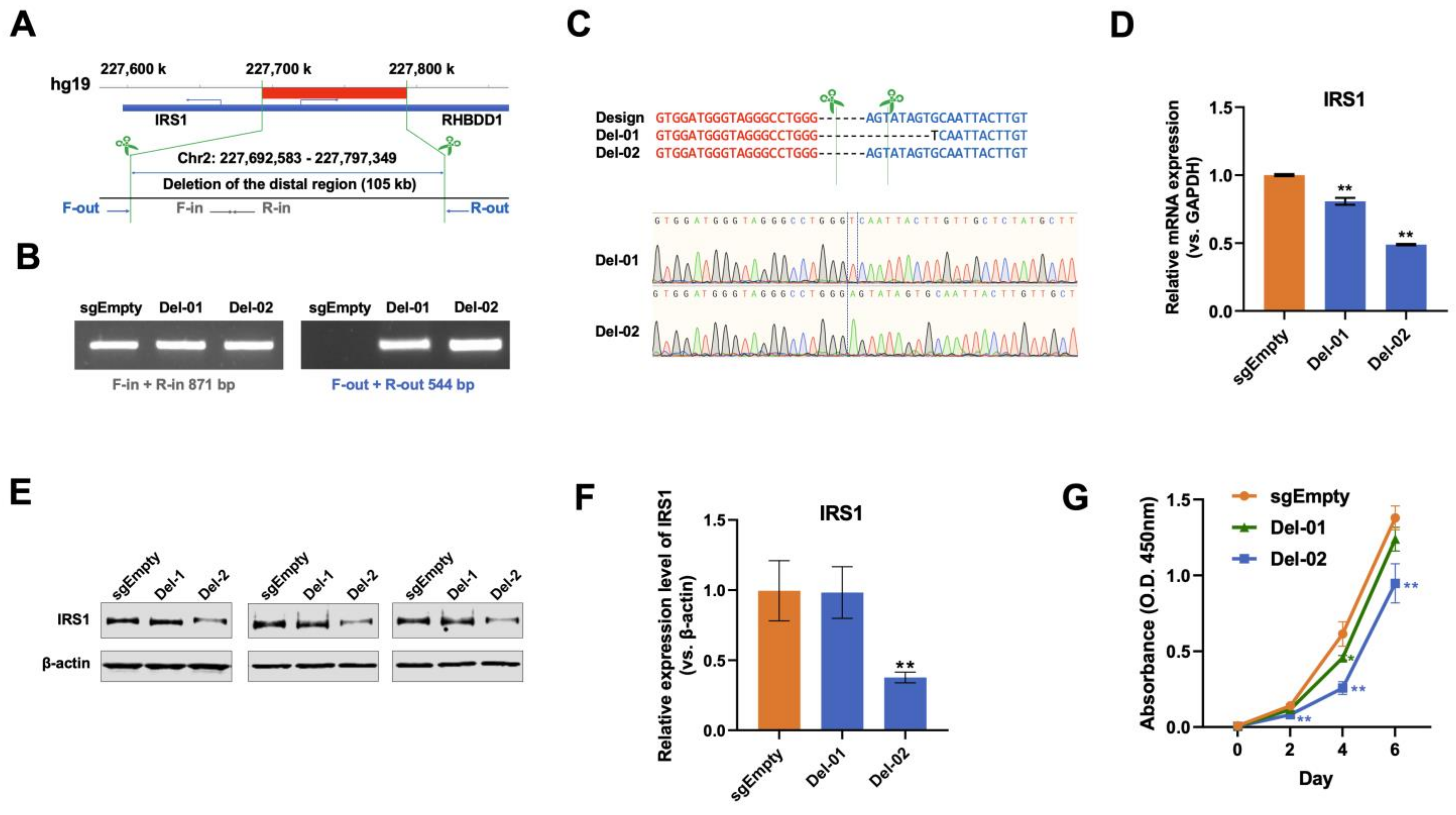 Cancers 16 02202 g006