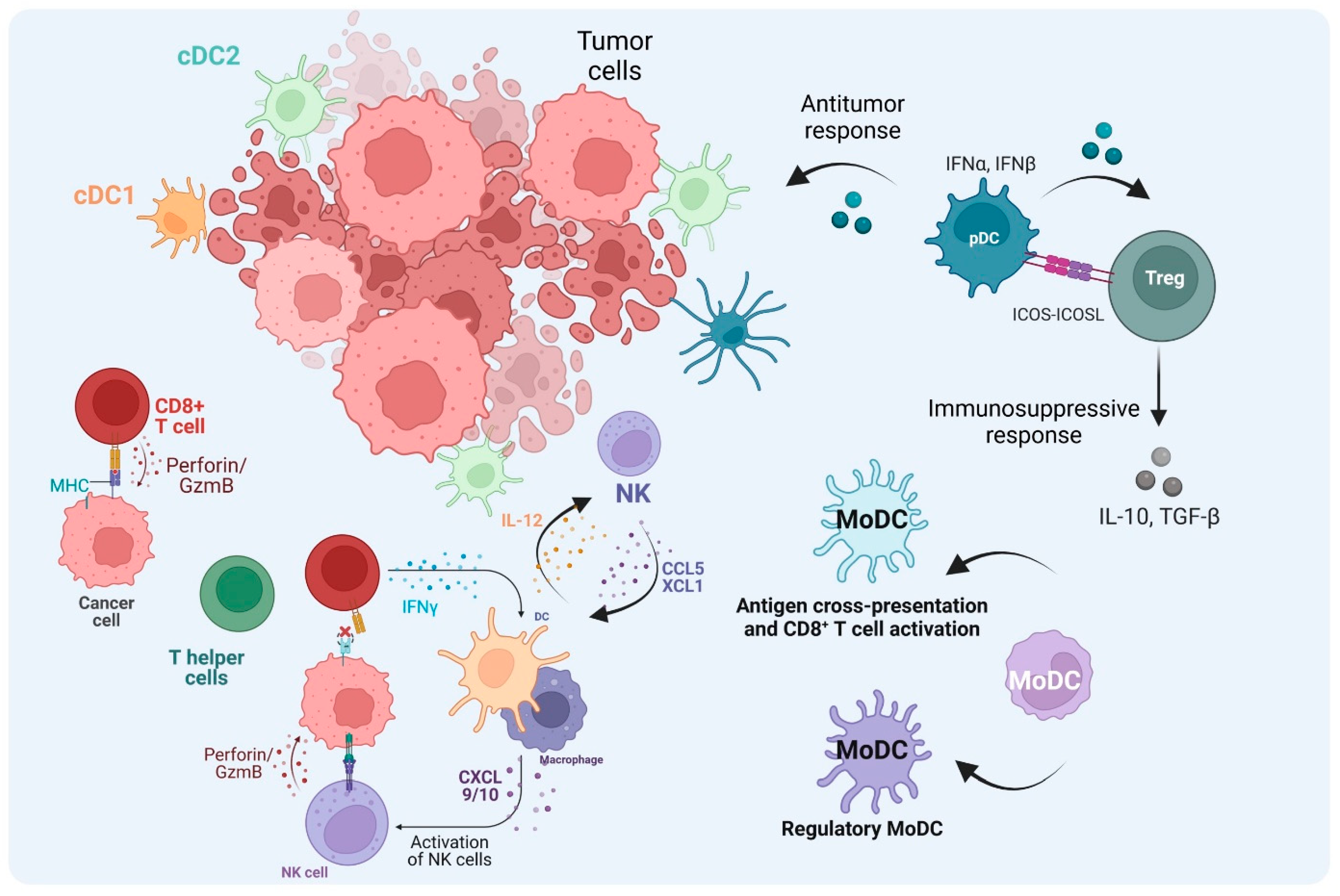 Cancers 16 02211 g004