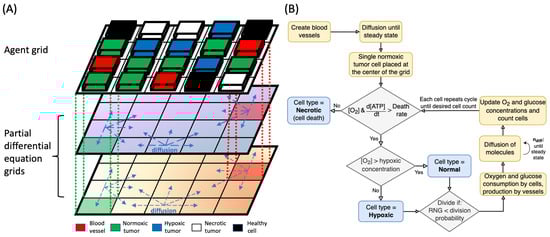 Cancers 16 02215 g001