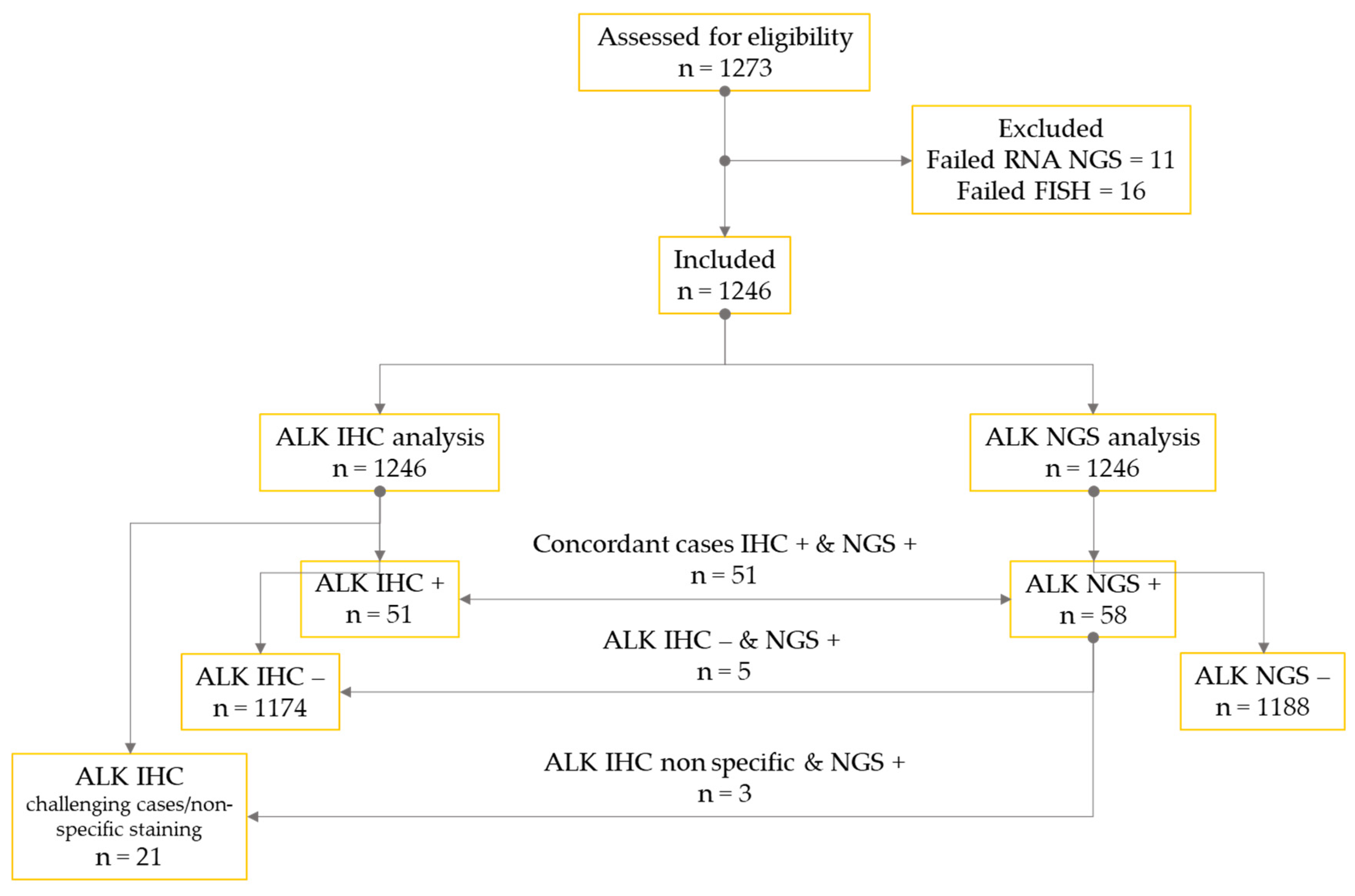 Cancers 16 02219 g001