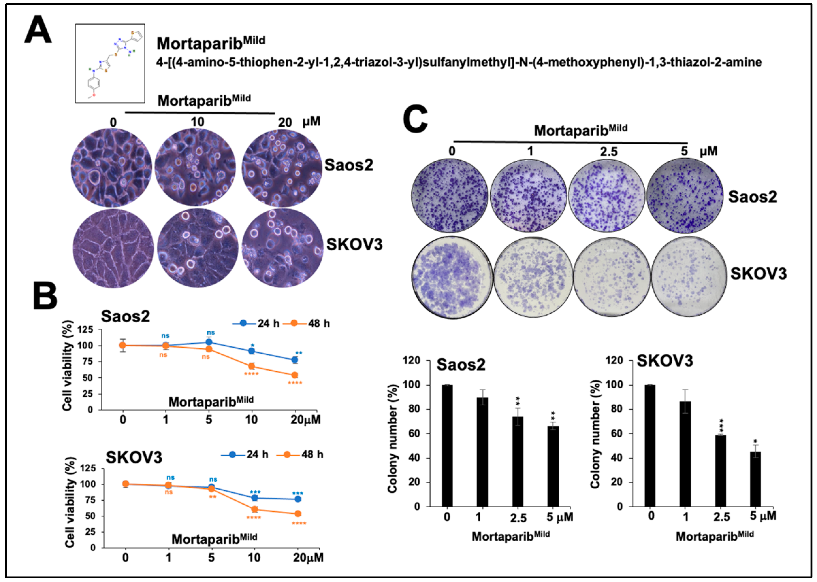 Cancers 16 02239 g001