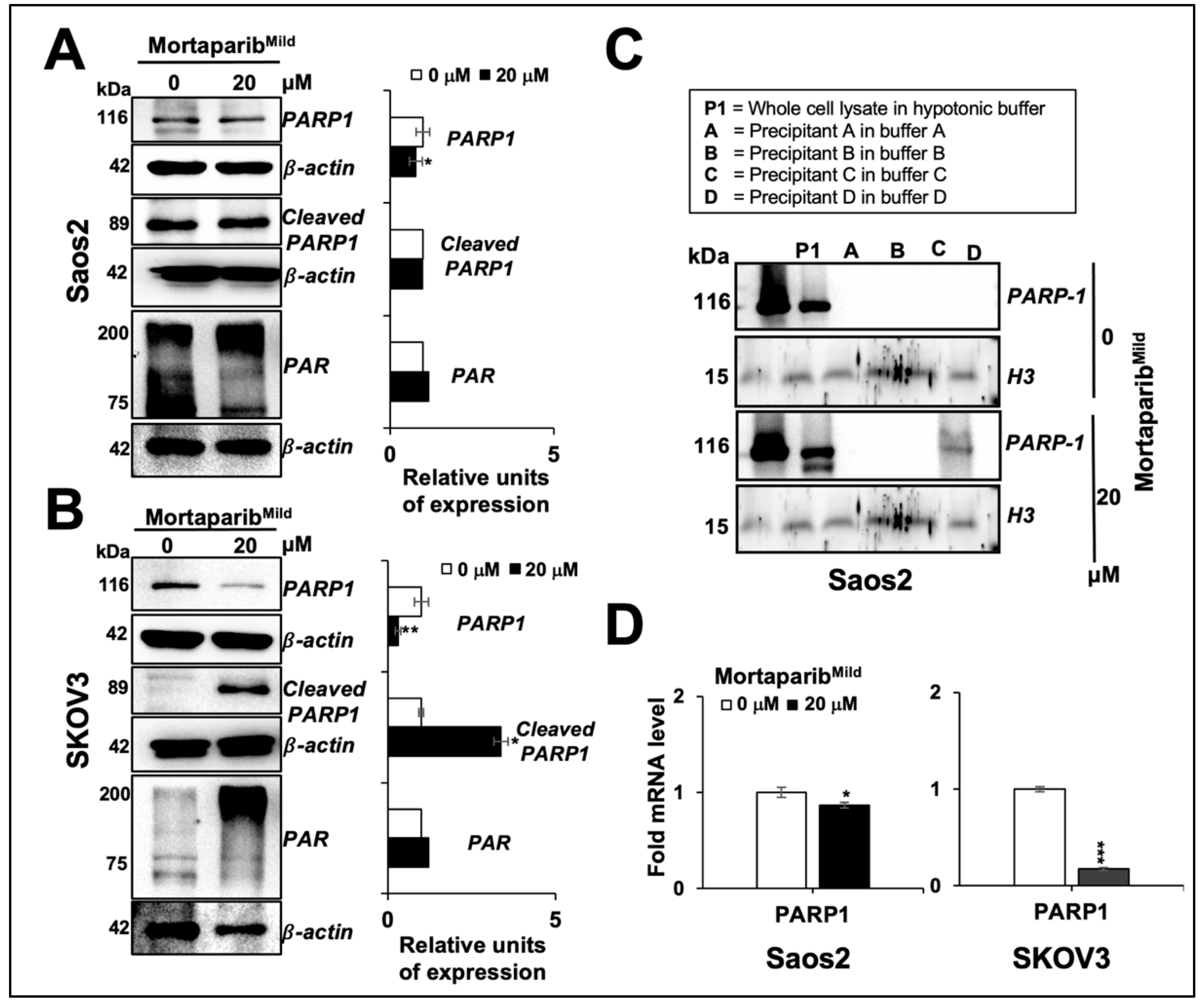 Cancers 16 02239 g003
